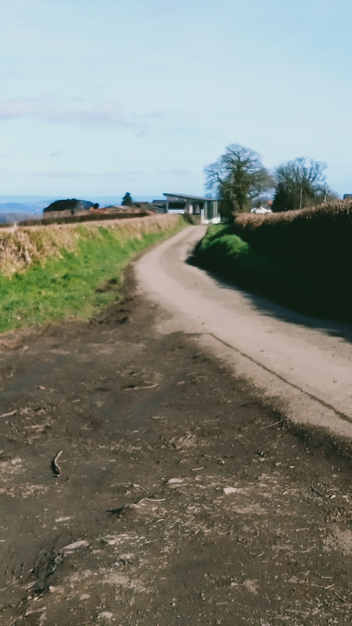 road back to Exeter