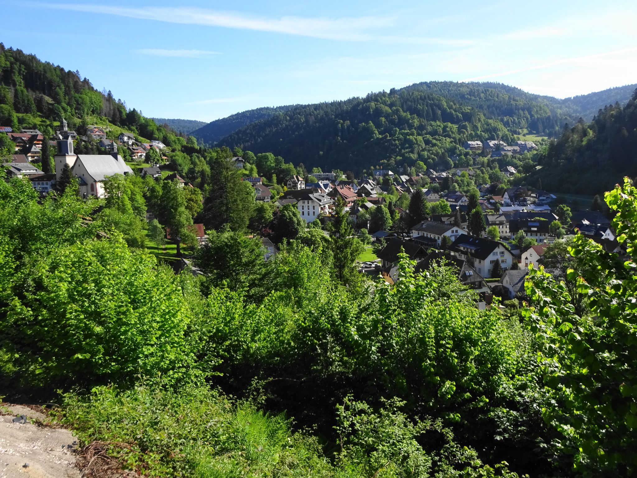 Blick auf Wehr