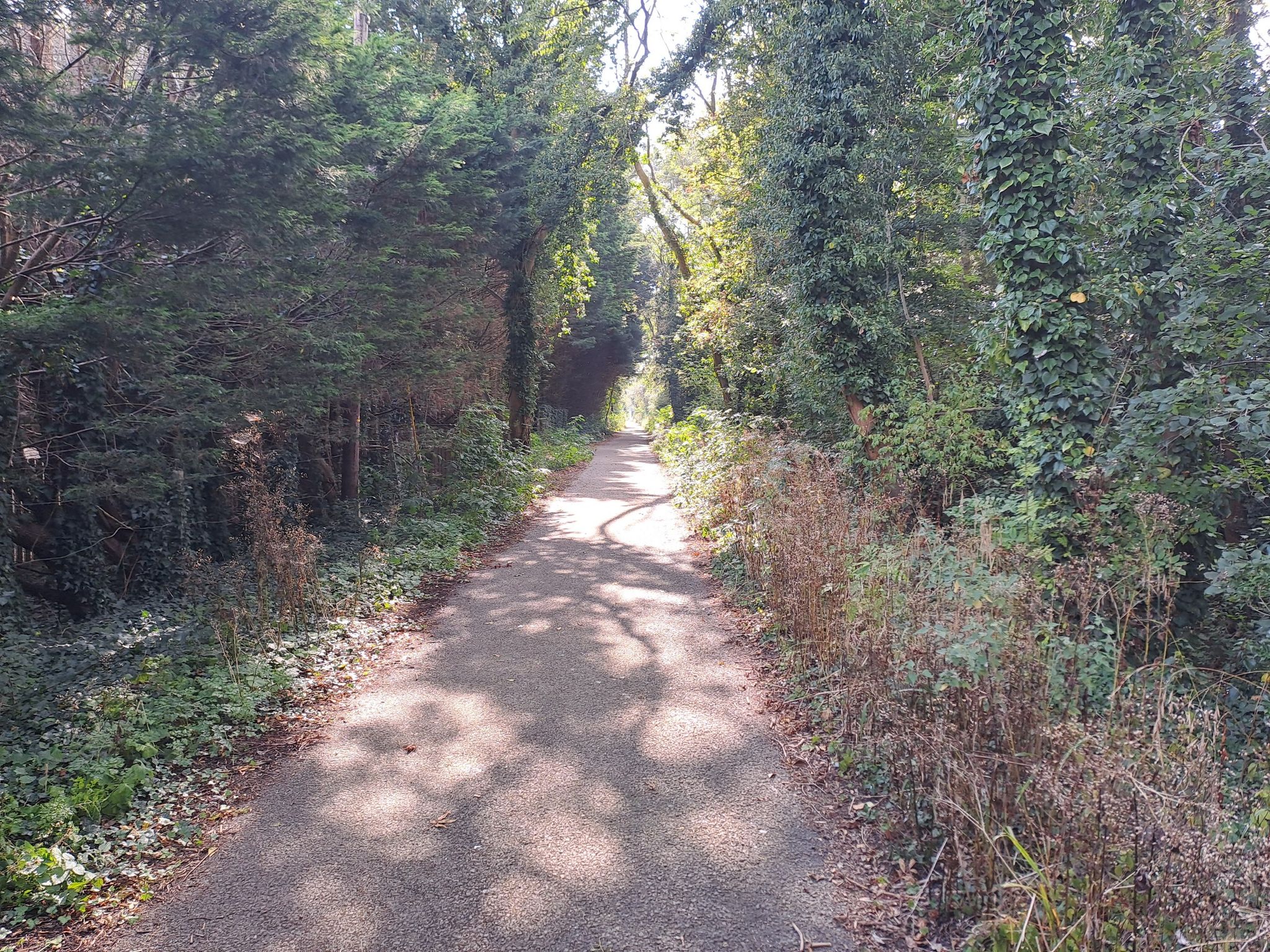 Windrush Path