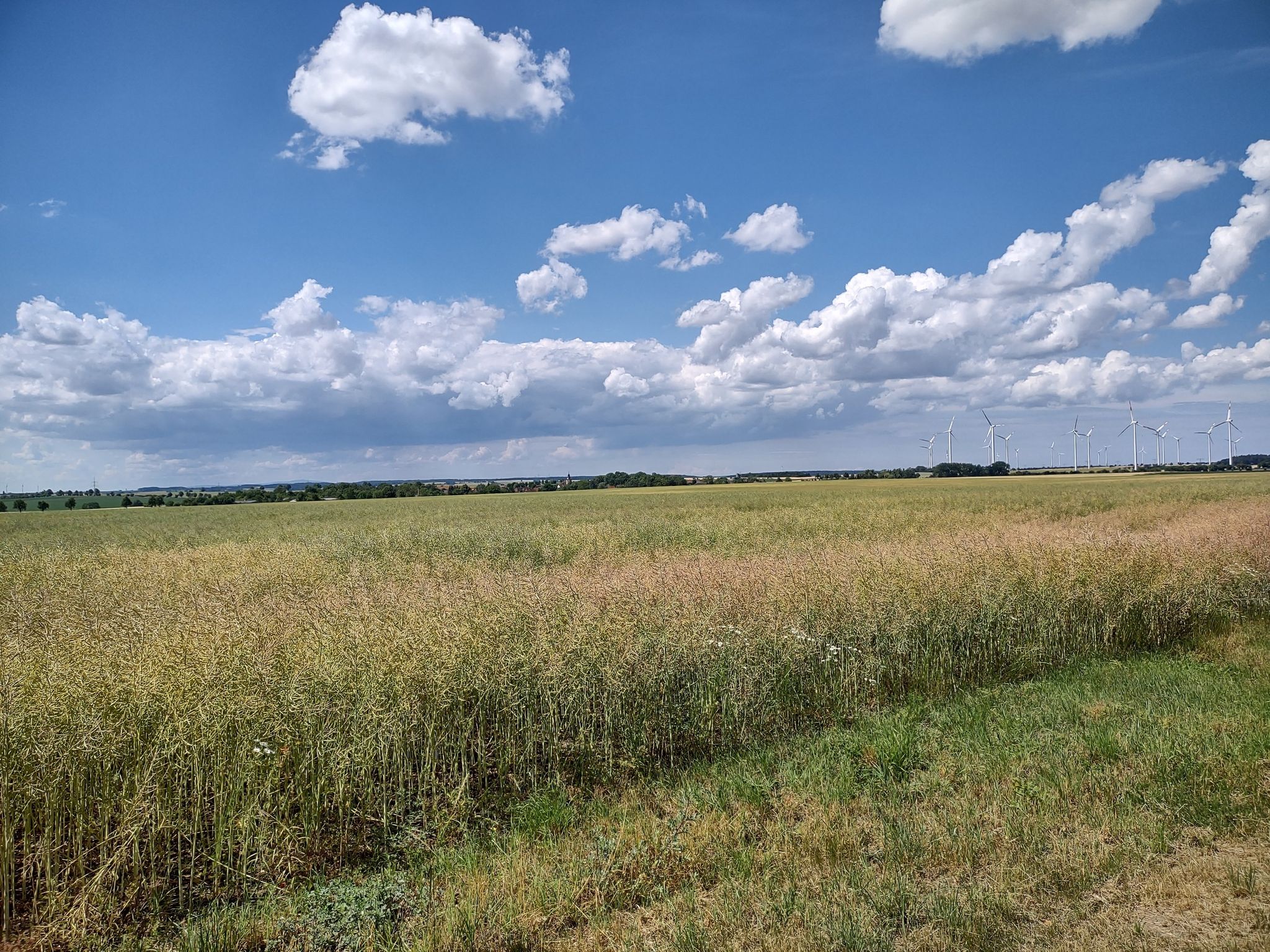 Weites Land