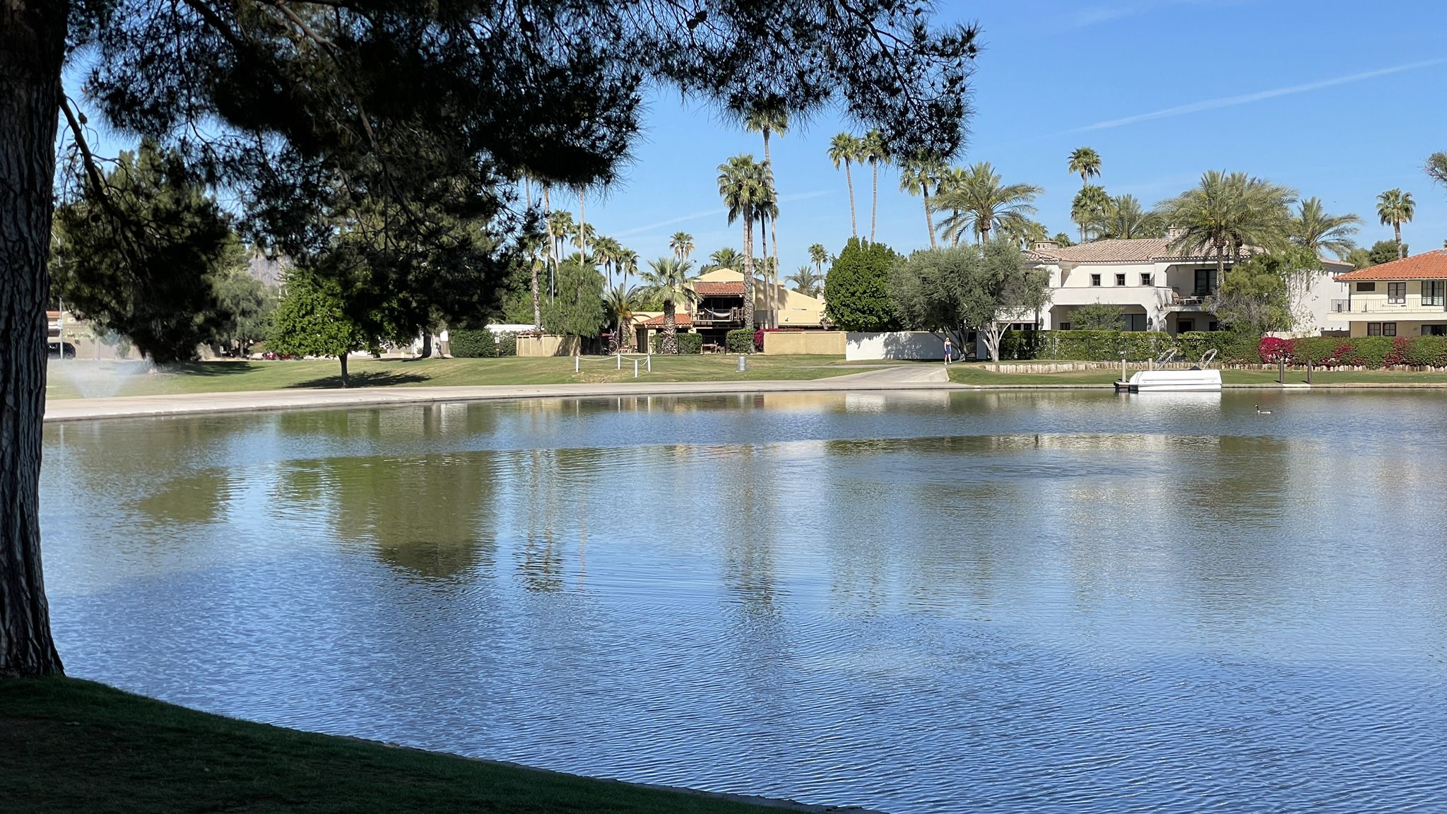 A calm lake with houses and palm trees on the distant shore. - Camelback Walk Greenbelt – McDowell Sonoran Preserve loop from Chaparral High School