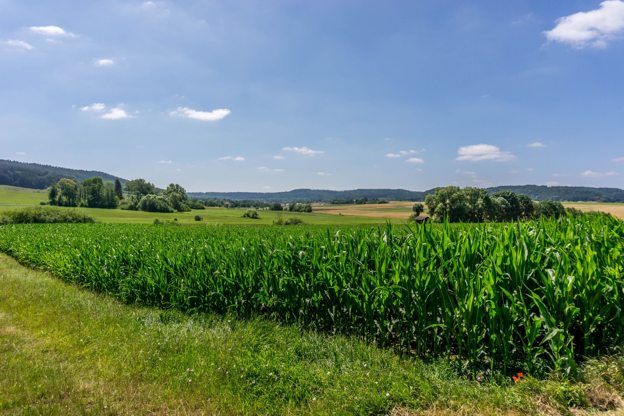 landschaftliche Impression