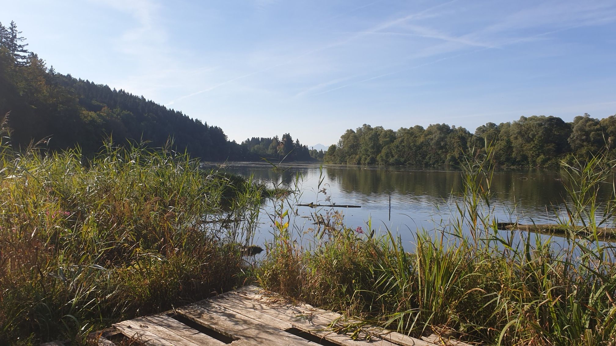 Bachtelsee