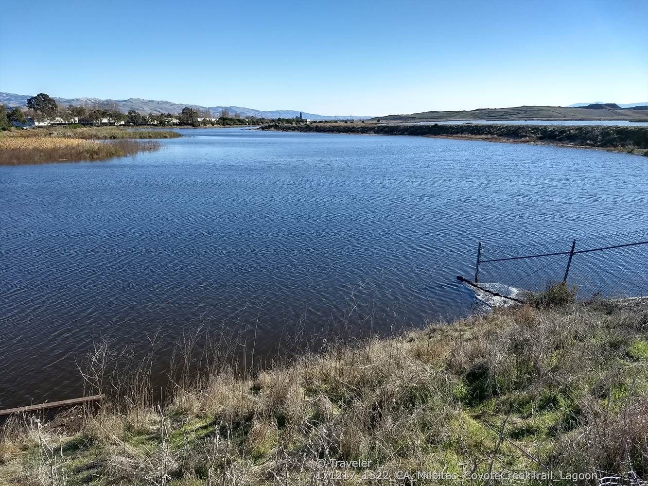A wide, calm lake with distant buildings and mountains under a clear sky. - San Francisco Bay Trail: Alviso Slough Loop