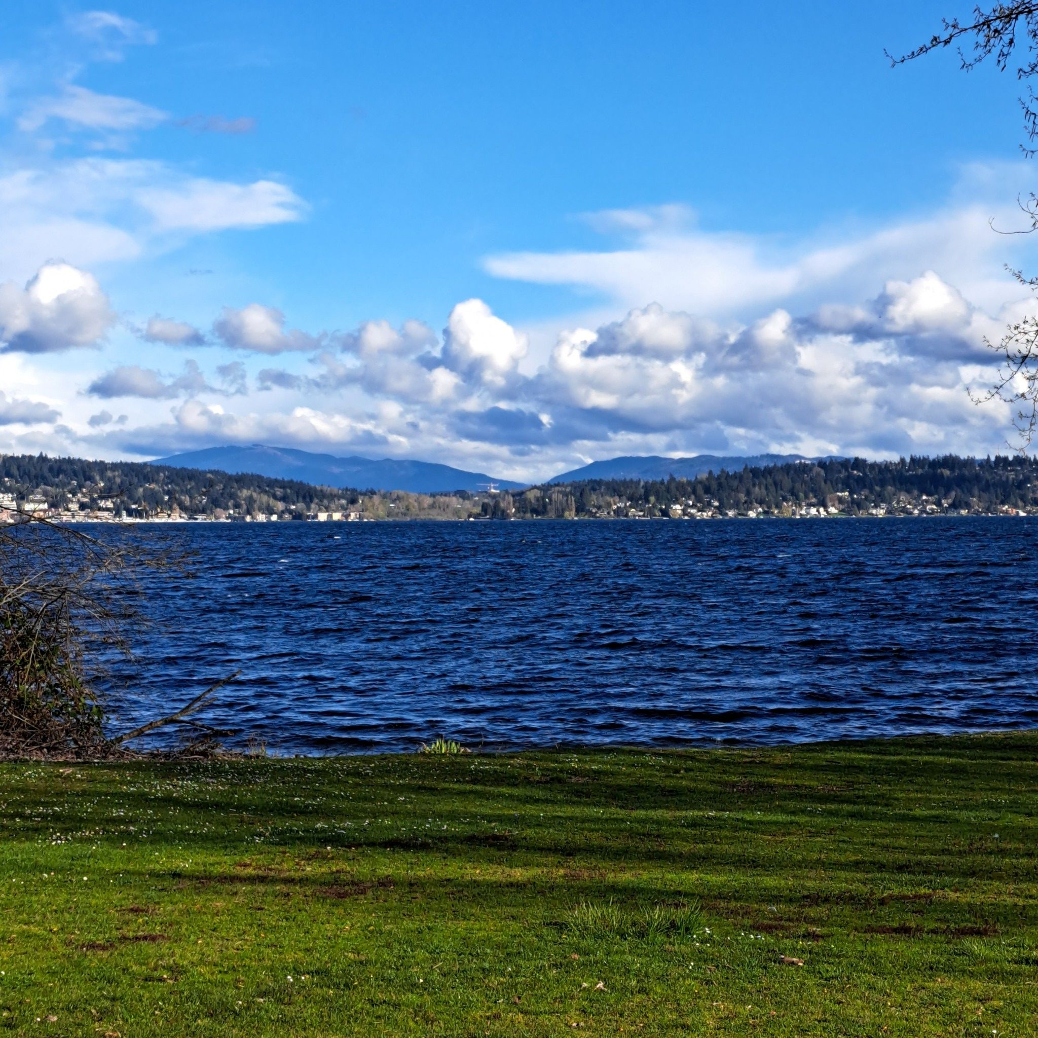Expansive blue lake with distant treed hills under a bright, cloudy sky. - Warren G. Magnuson Park loop