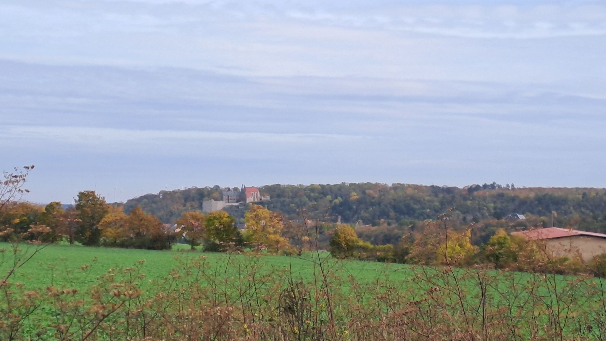 Blick auf Schloss Mansfeld