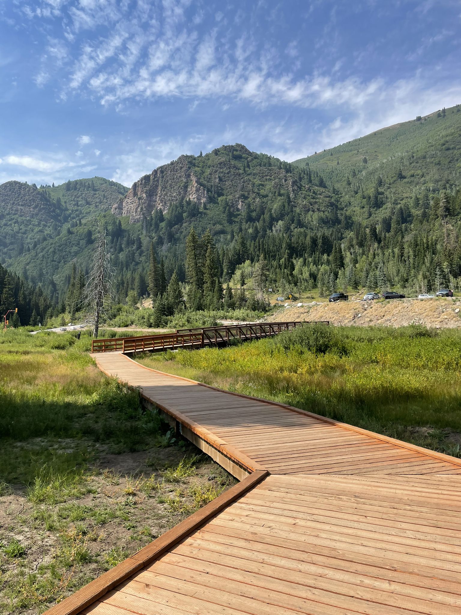 A long wooden boardwalk winding through a green meadow towards forested mountains. - Mill D North Fork Trailhead loop from Big Cottonwood Creek