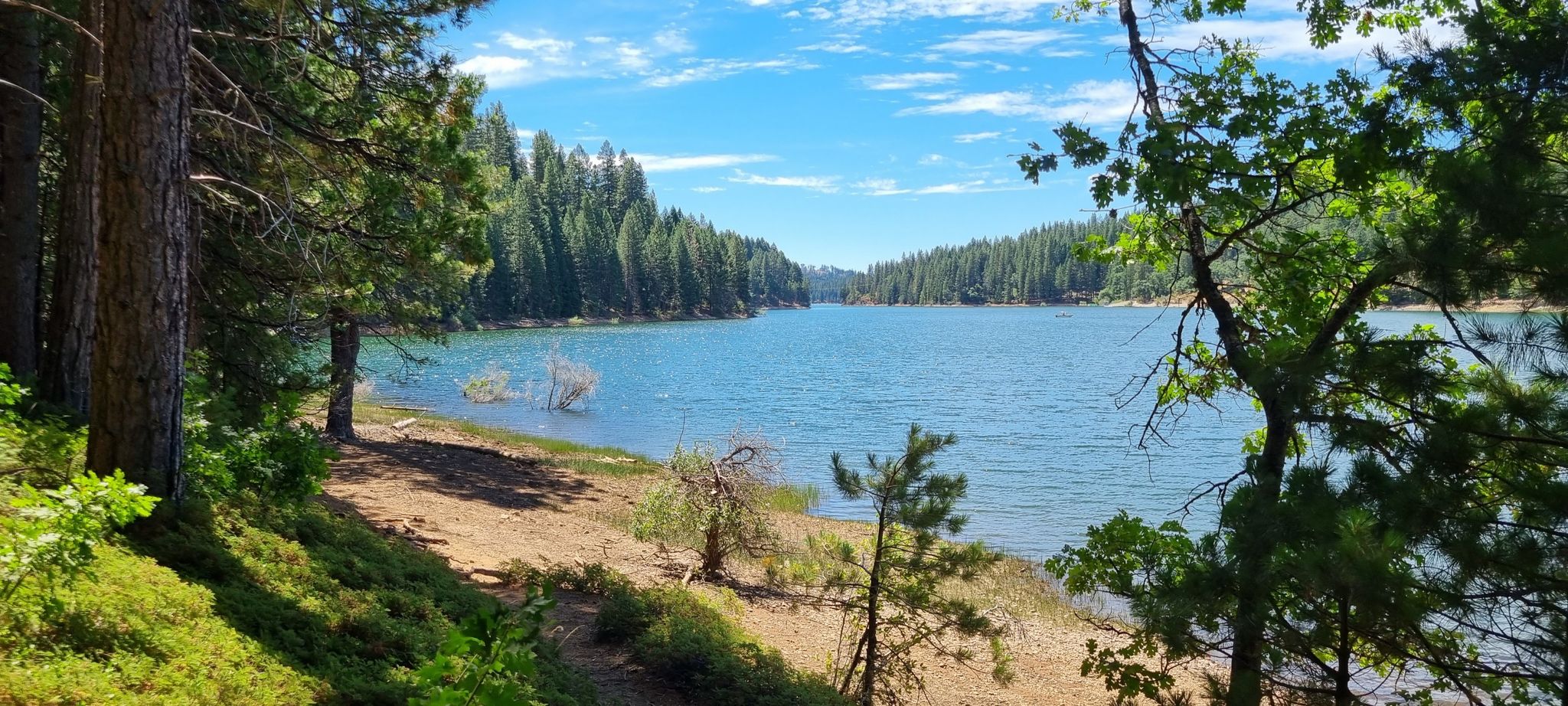 Bright blue lake surrounded by dense green forest under a clear sky. - Jenkinson Lake Loop Trail