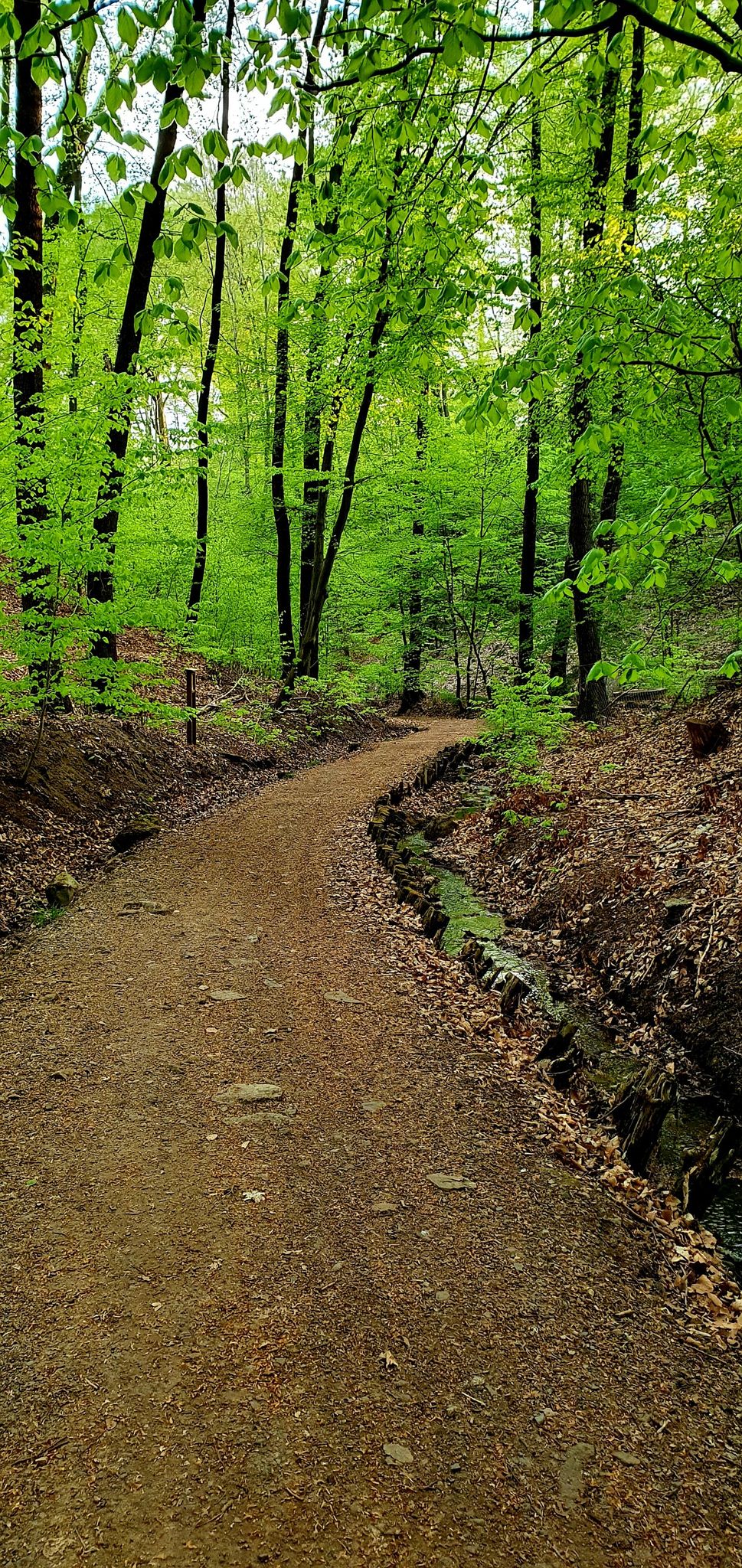 Fiedlergrund