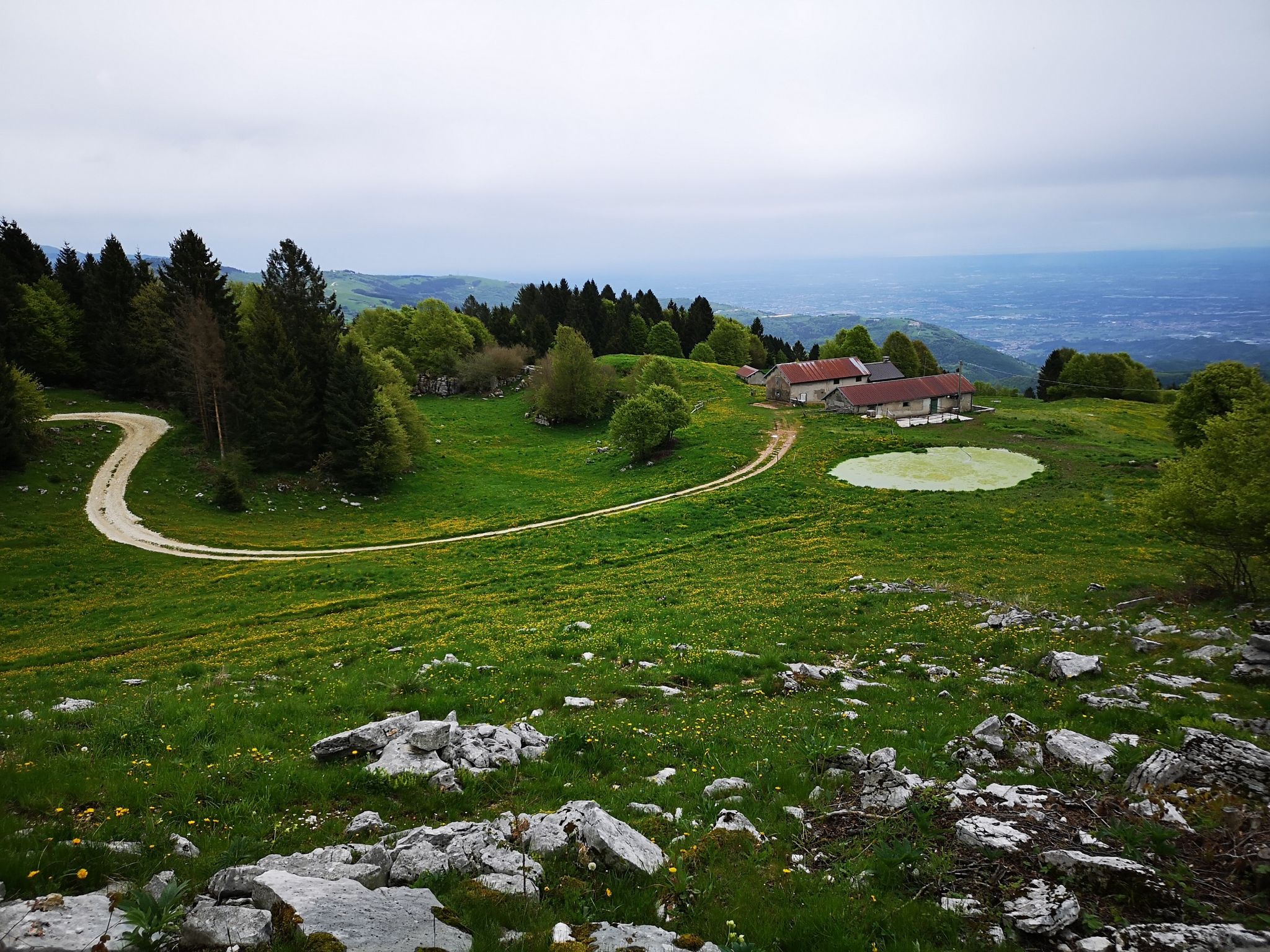 Malga Campo Est