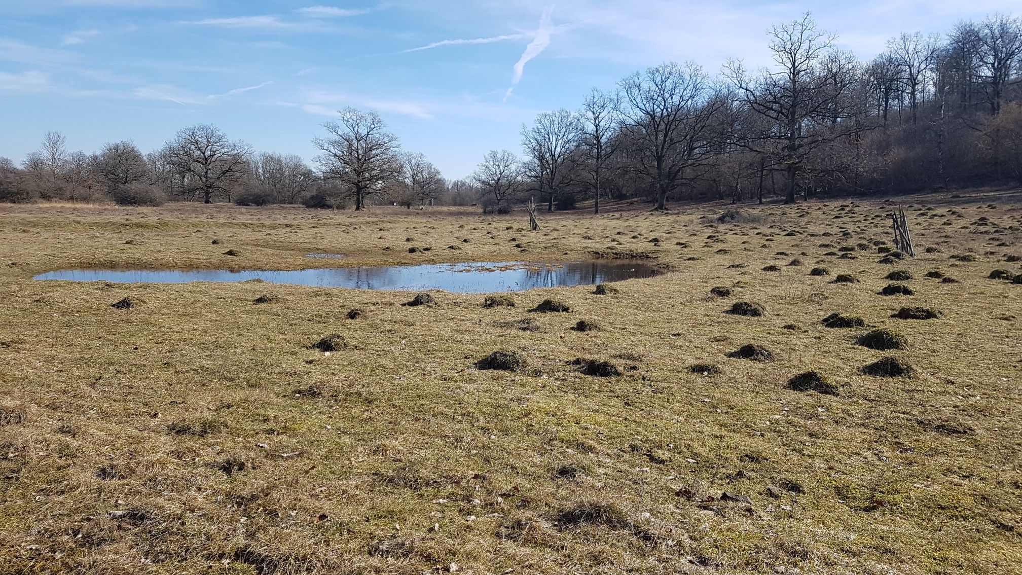 wer schon auf dem Steigerwald-Panoramaweg war, kennt auch dieses Stück