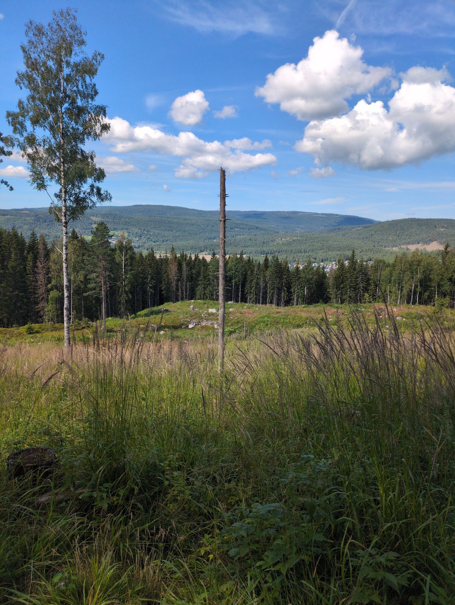 view over a valley