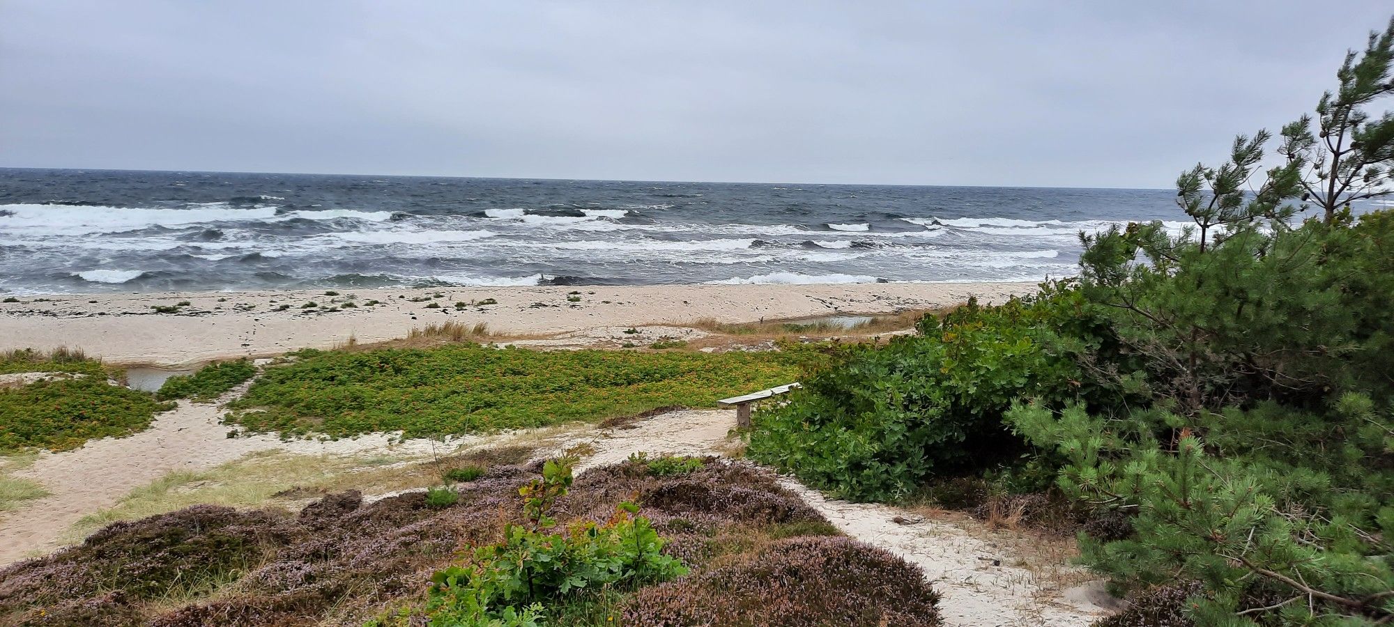 Ausblick aufs Meer