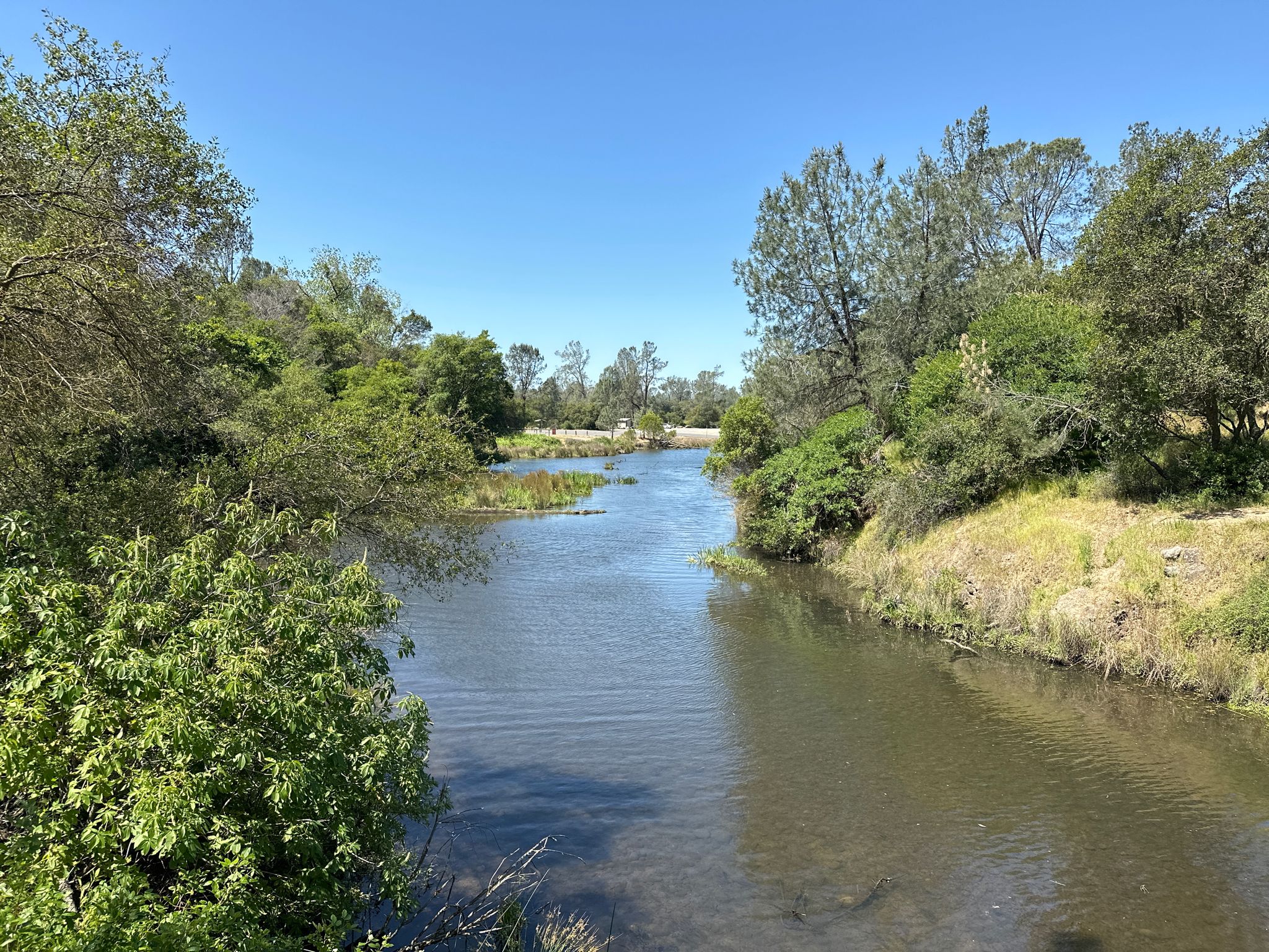 A narrow river flows through lush green trees under a clear blue sky. - American River, Humbug Creek, and Folsom Parkway Loop
