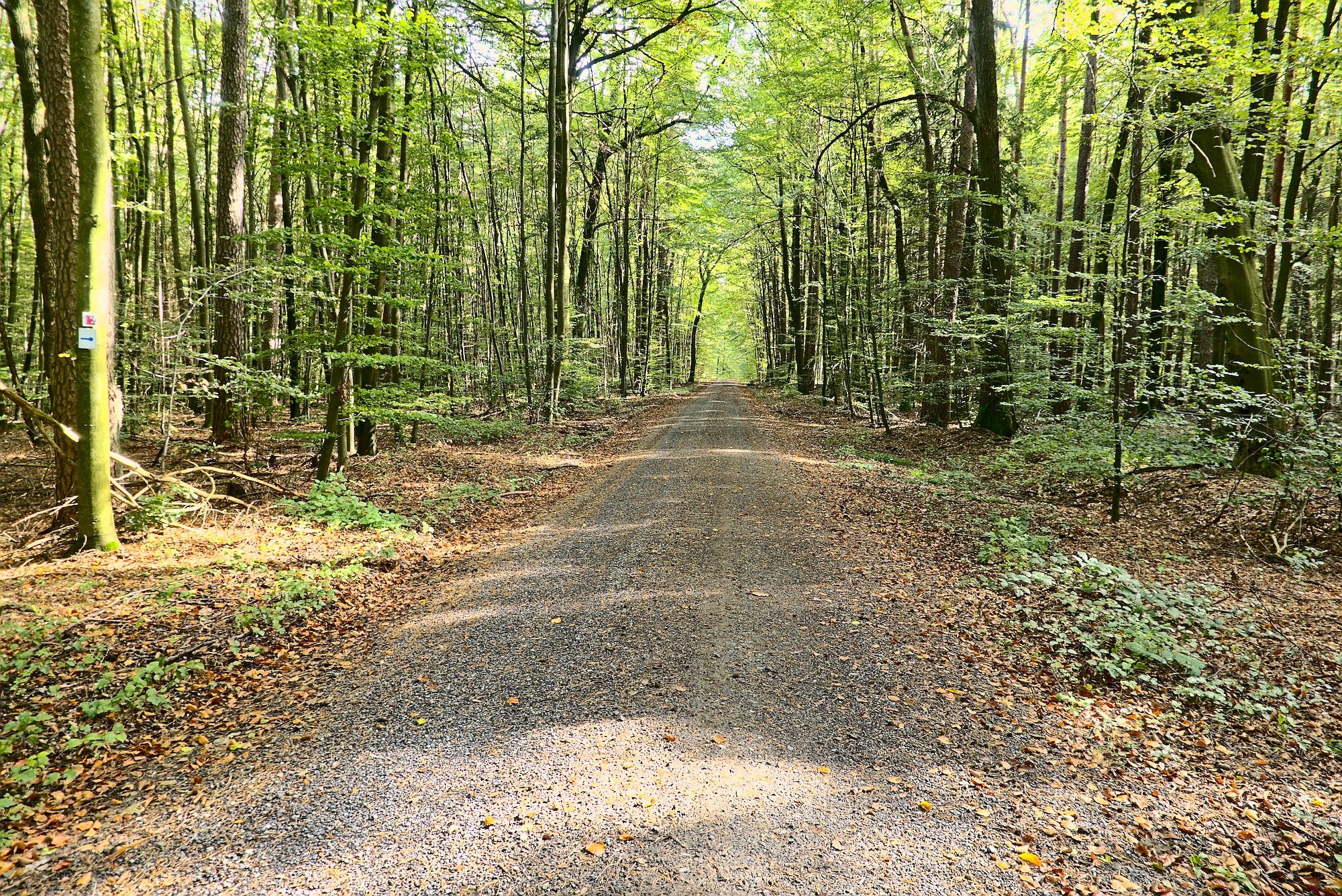 Auf der Hohen Straße ...
