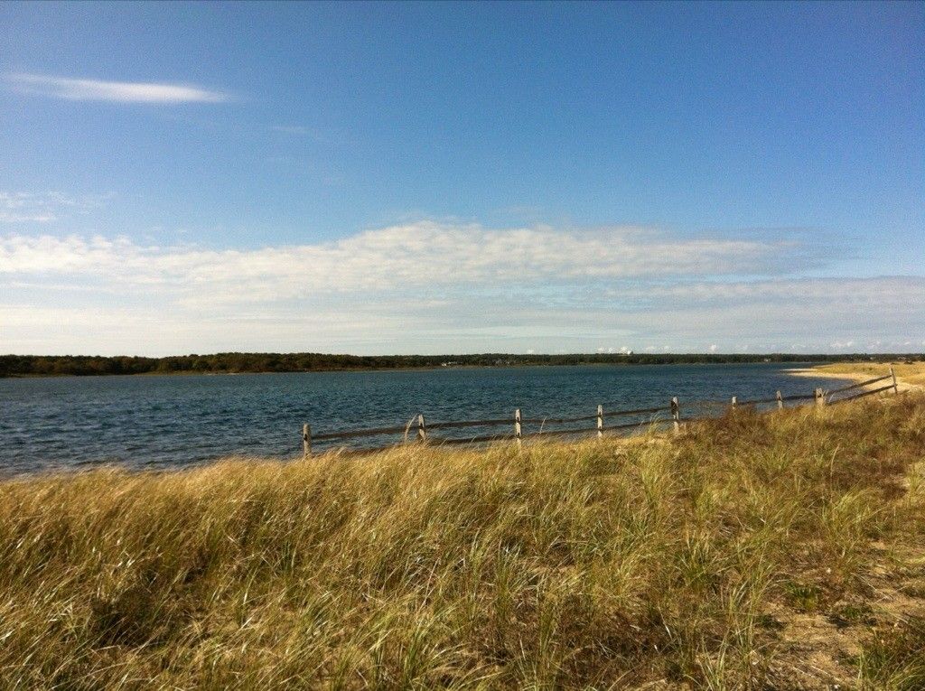 Calm bay with grassy dunes and a fence under a bright sky. - Joseph Sylvia State Beach – Historic Edgartown loop from Edgartown