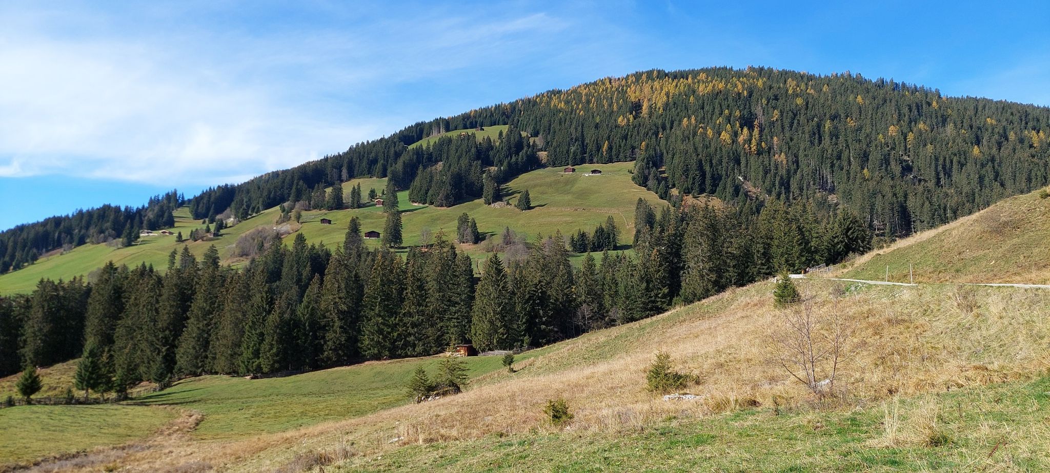 Almenidylle wie von der Postkarte