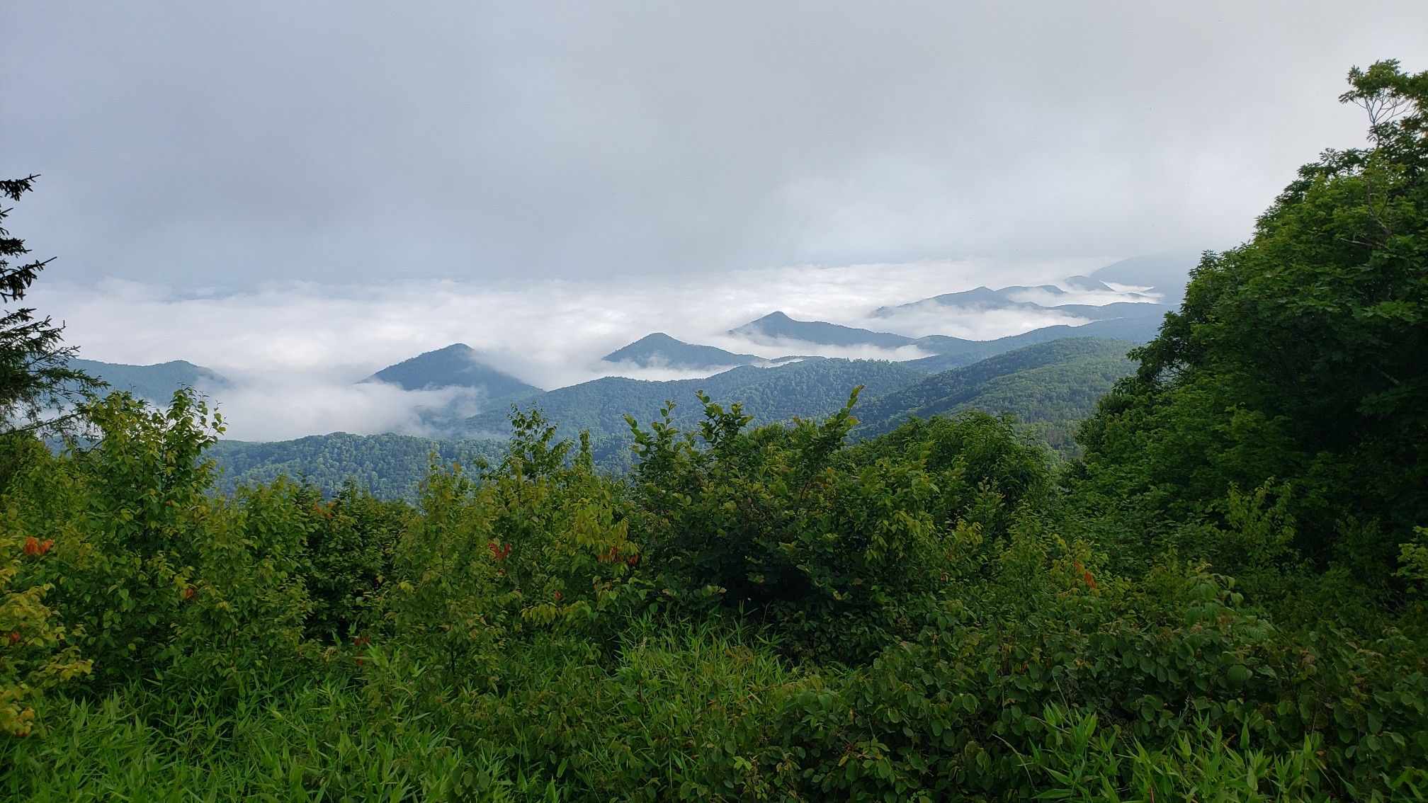 Lush green mountains with valleys filled with low-lying clouds under an overcast sky. - Appalachian Trail: Punchbowl Mountain to Bluff Mountain
