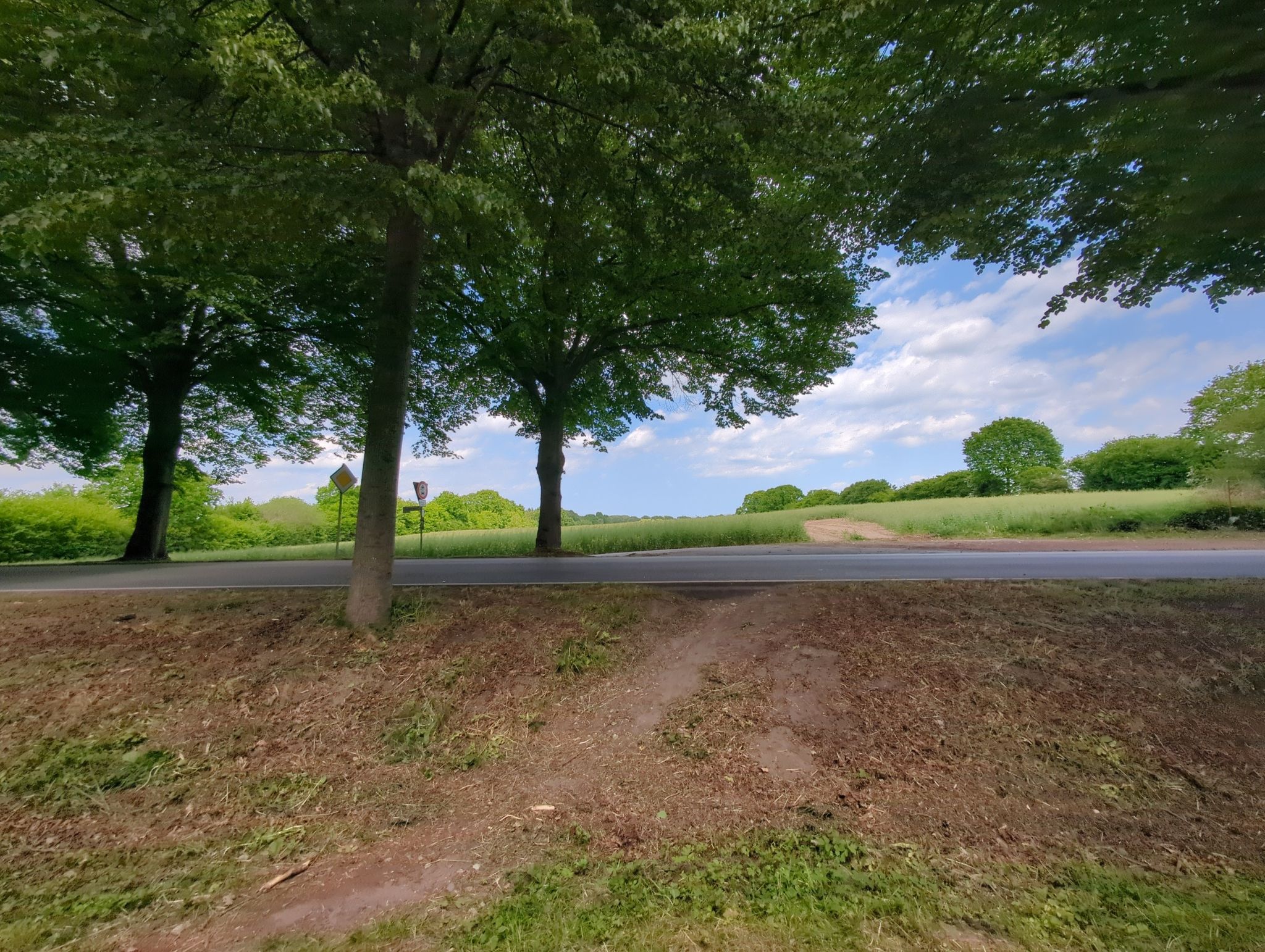 Hier über die Straße