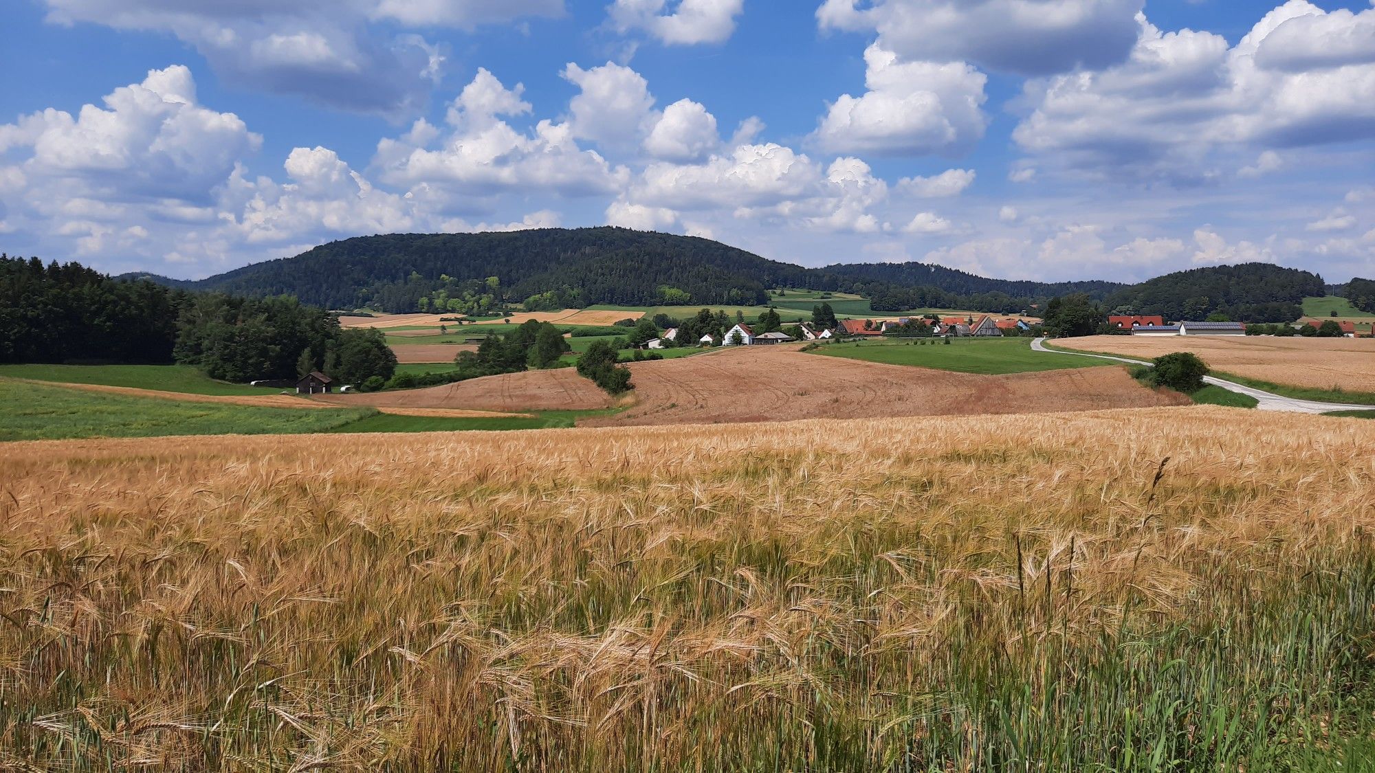 Holnstein und die "Hohe Zant"