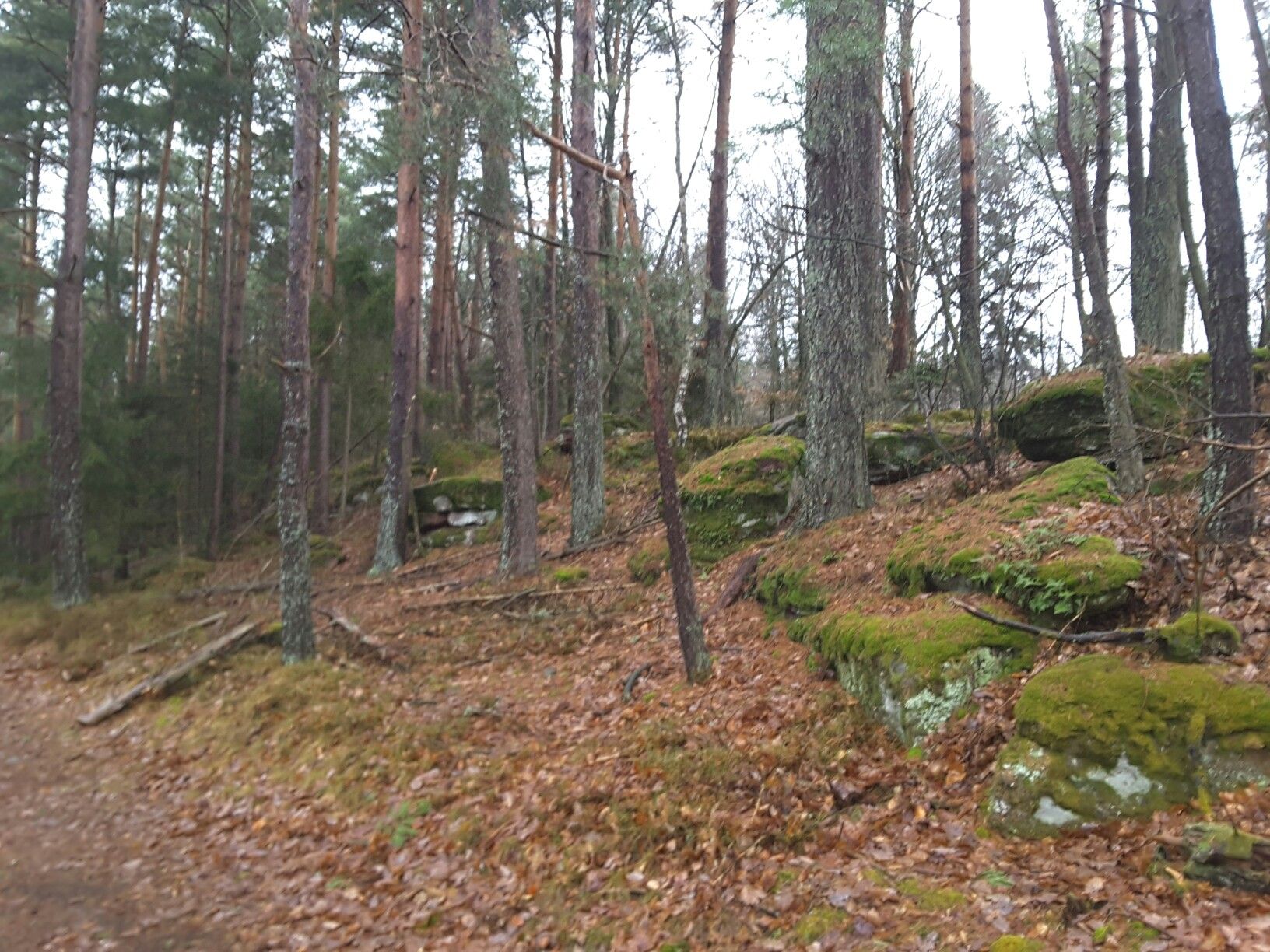 Reste Heidenschloss