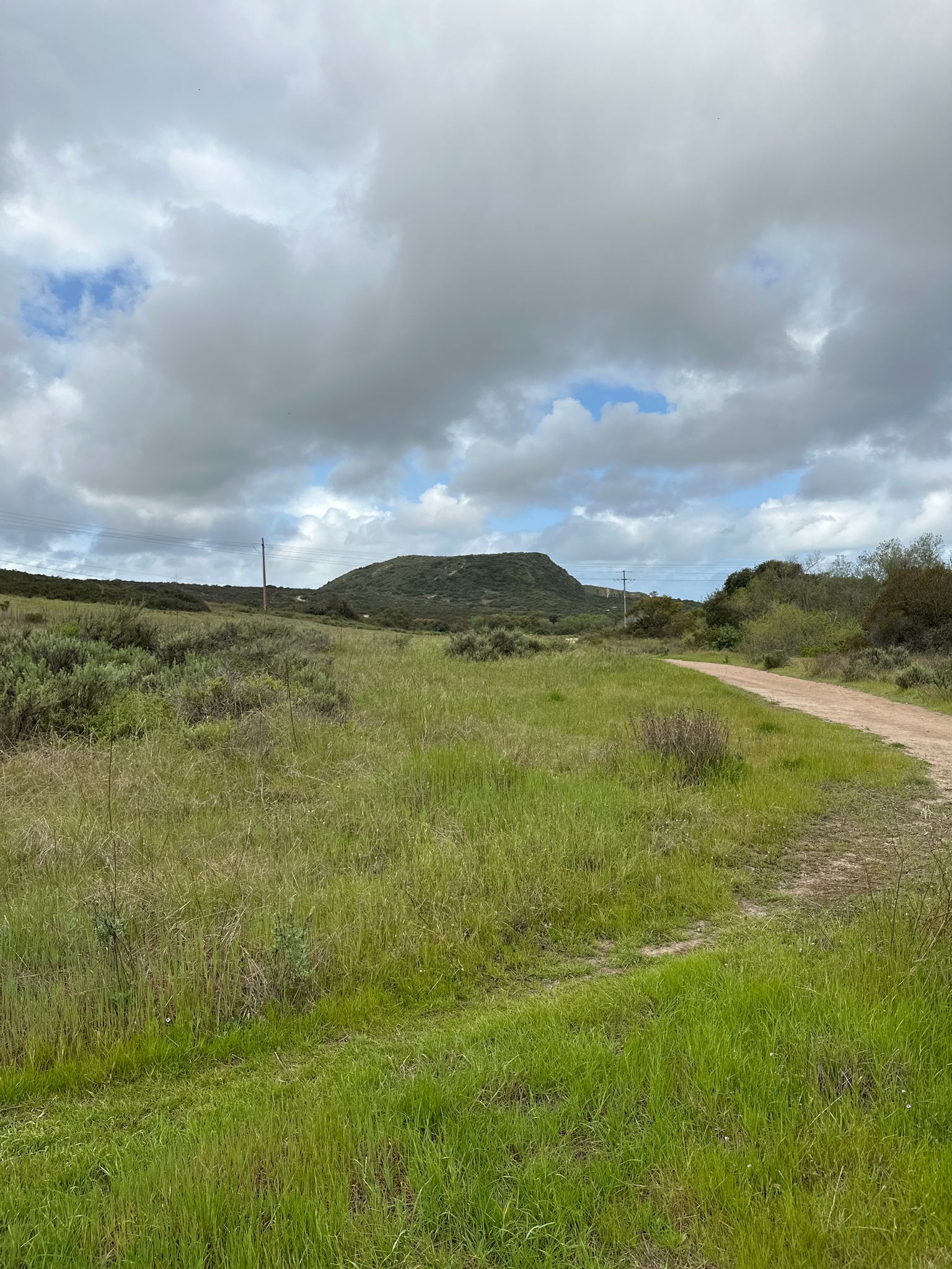 Grassy field with a dirt road leading towards a distant hill under cloudy sky. - Oak Riparian Loop Trail