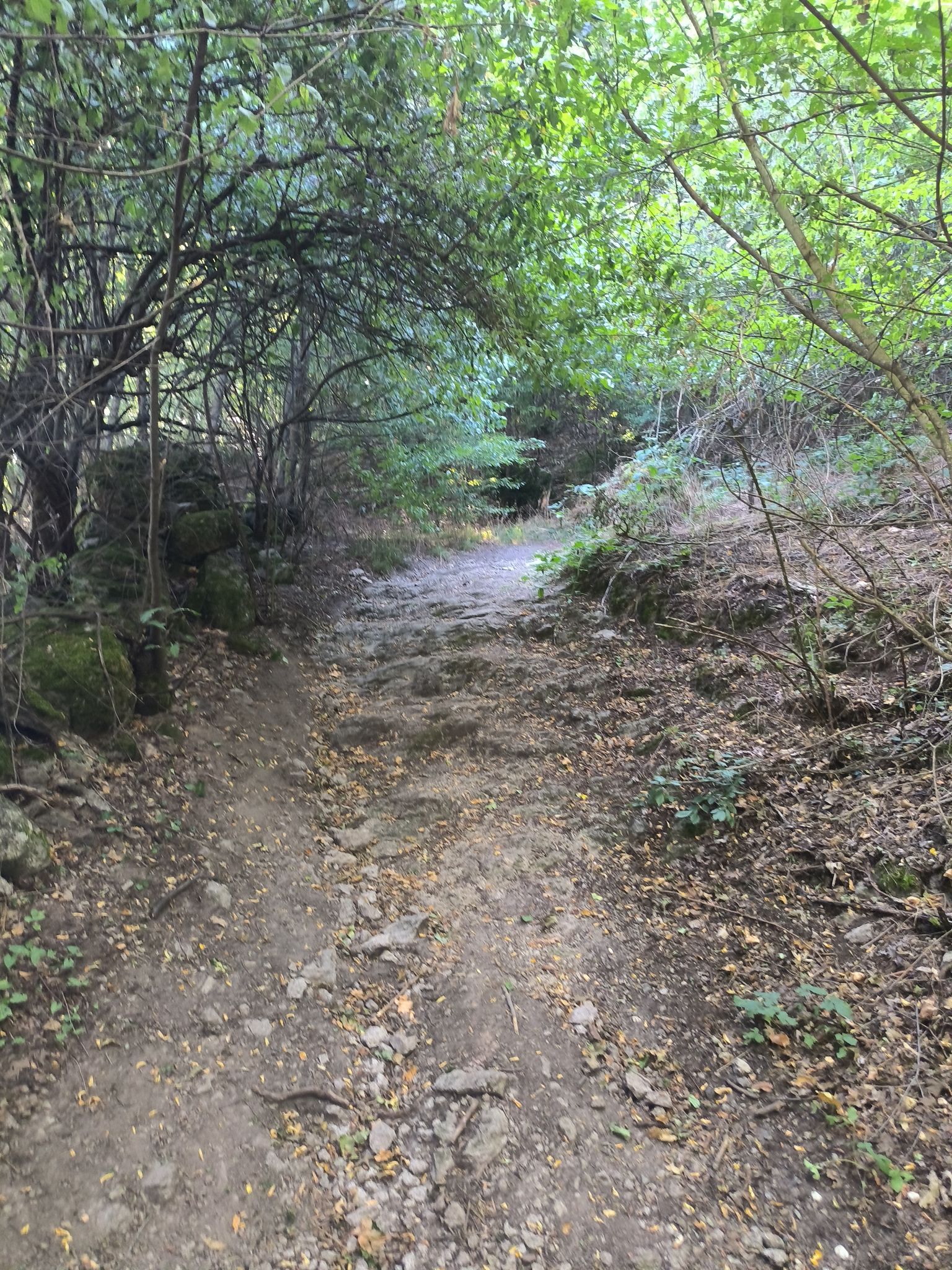 path2