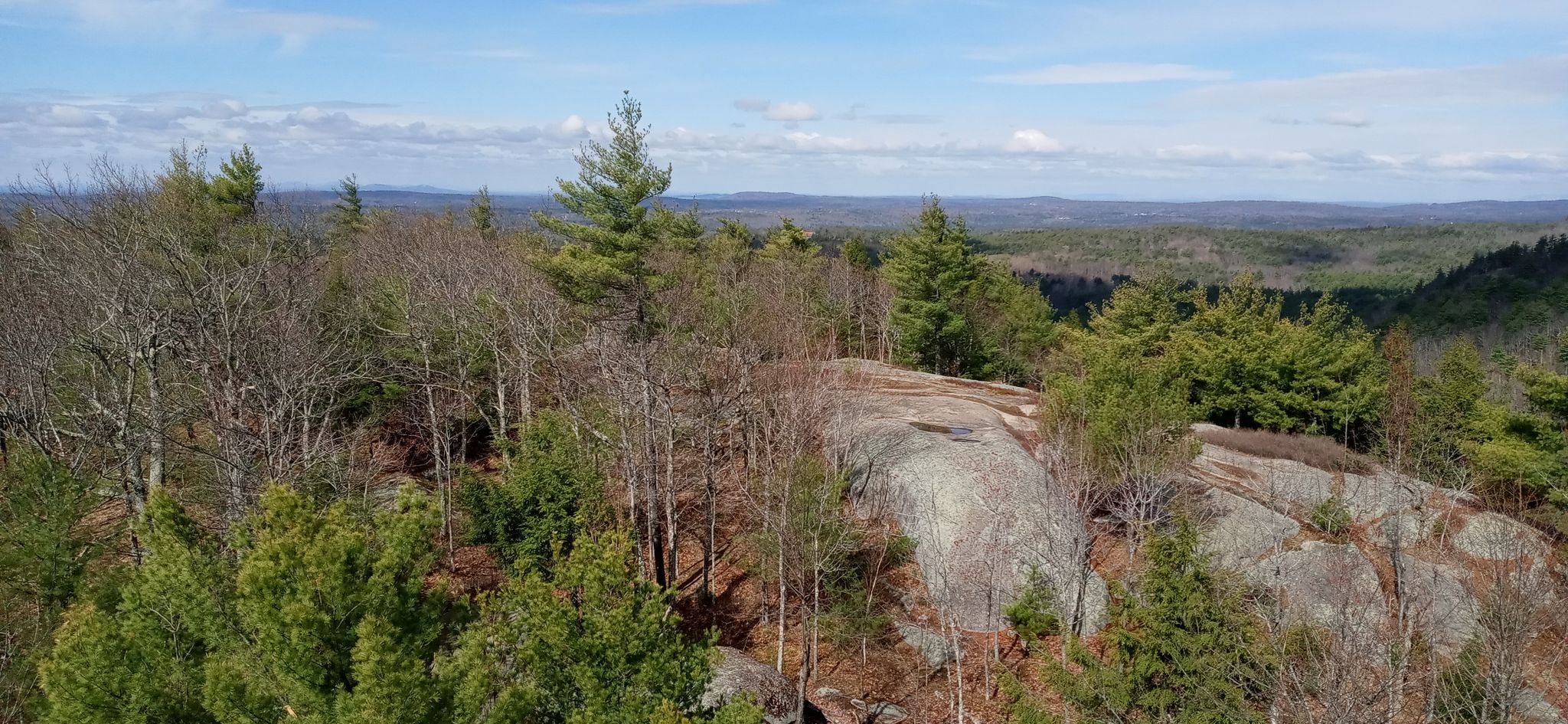 Panoramic view of a vast forest landscape from a rocky outcrop on a sunny day. - North and South Mountain Loop