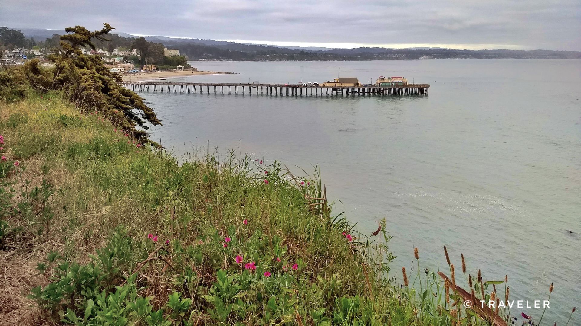 A long pier extends over calm ocean water from a grassy cliff. - Soquel-Aptos Creek Loop