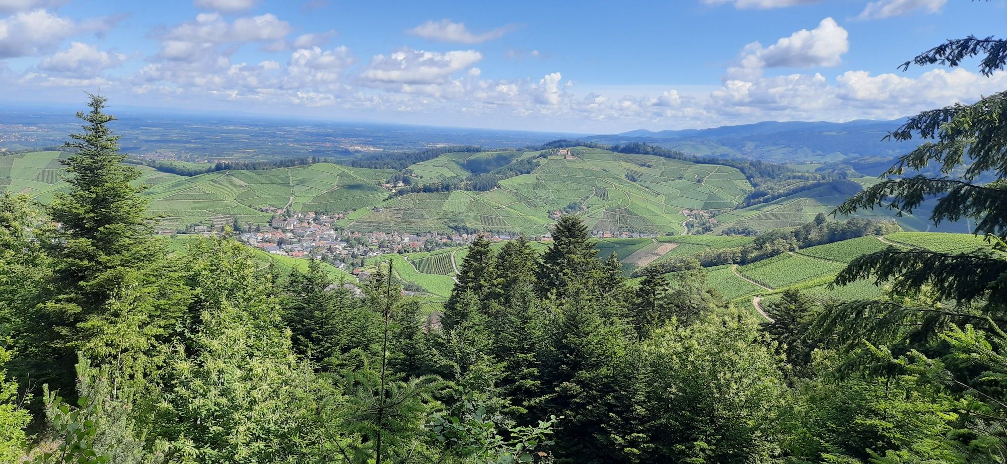 Durbacher Weitblick im Hintergrund Schloss Stauffenberg
