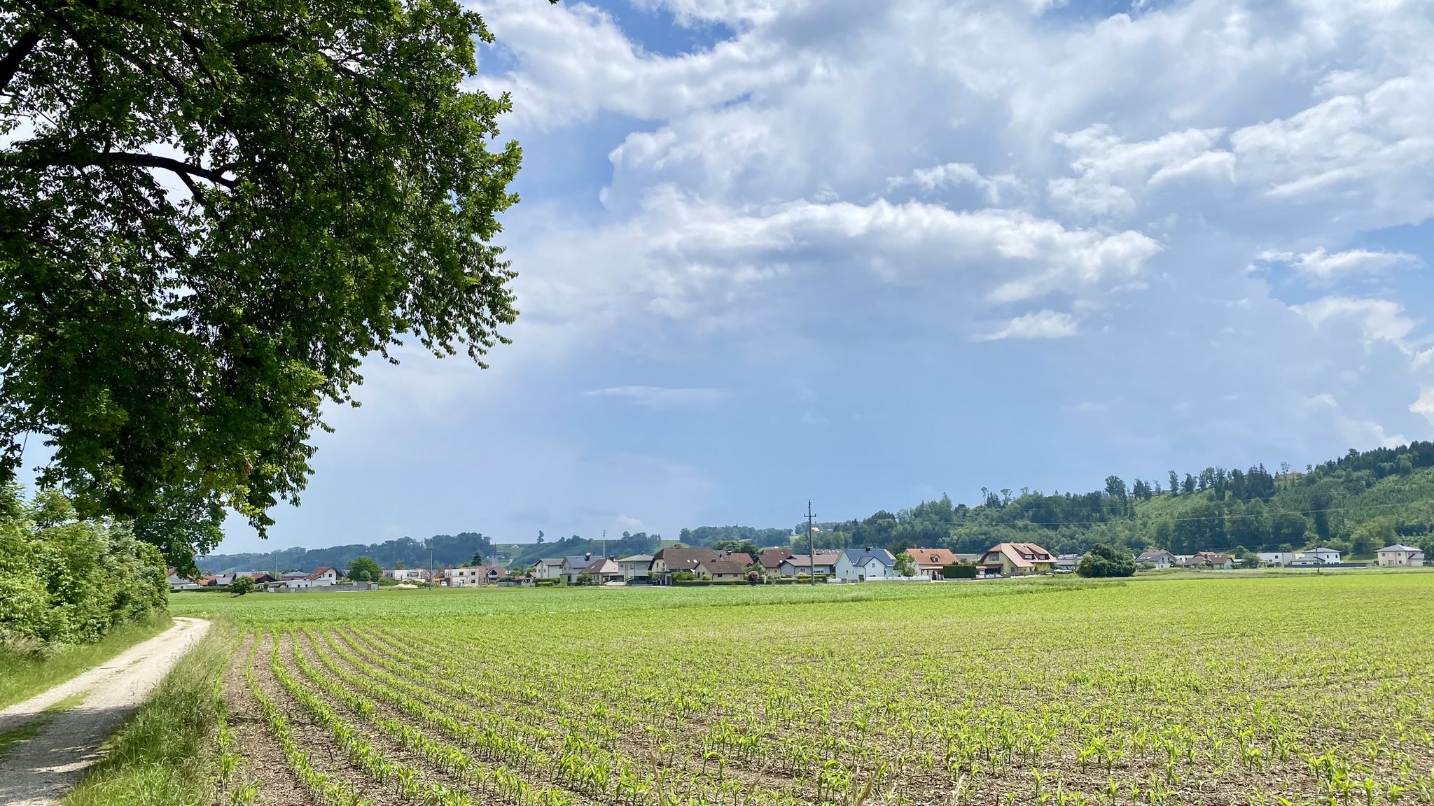 Schauerwolken über Weißkirchen