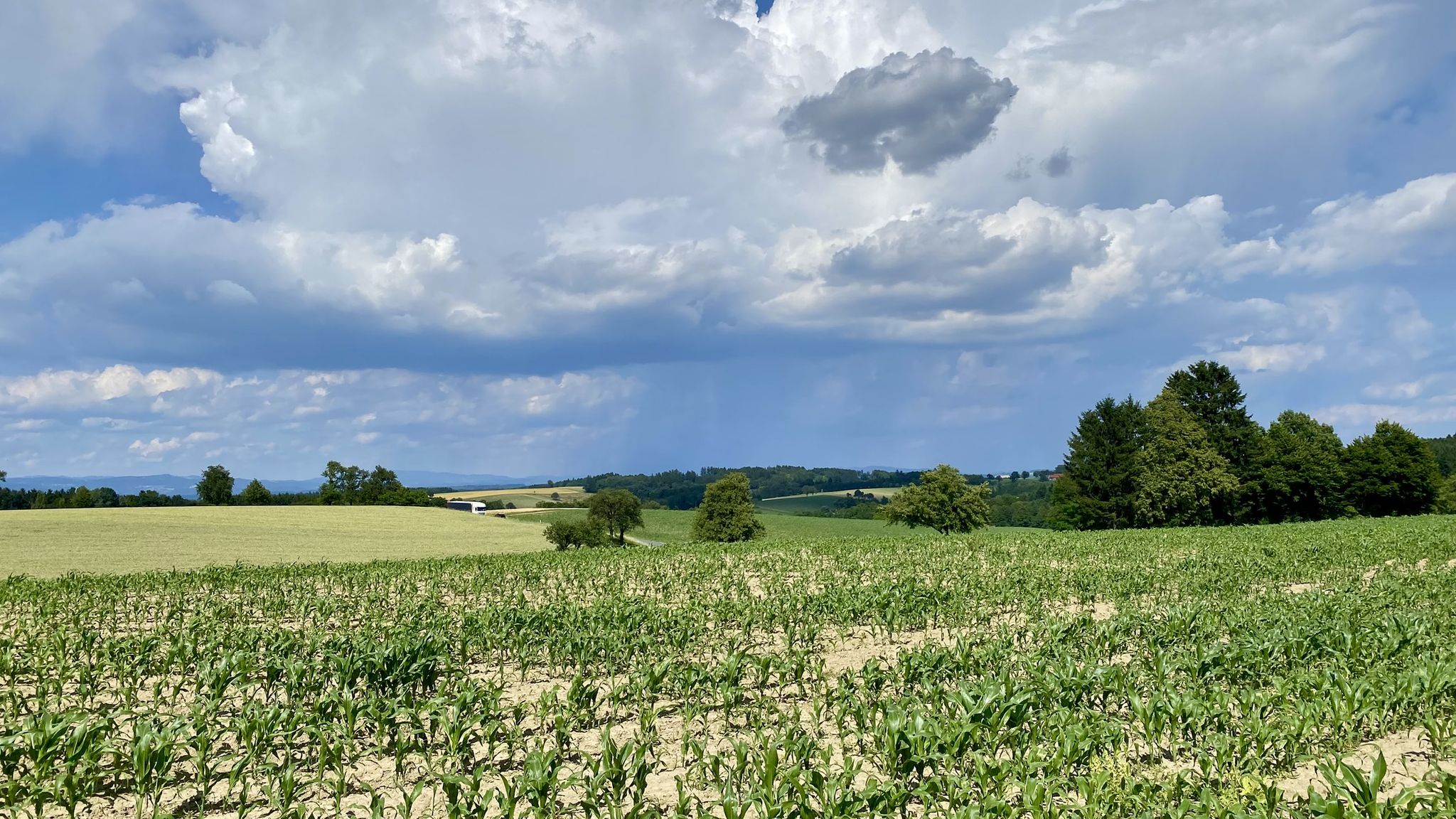Gewitter im Norden