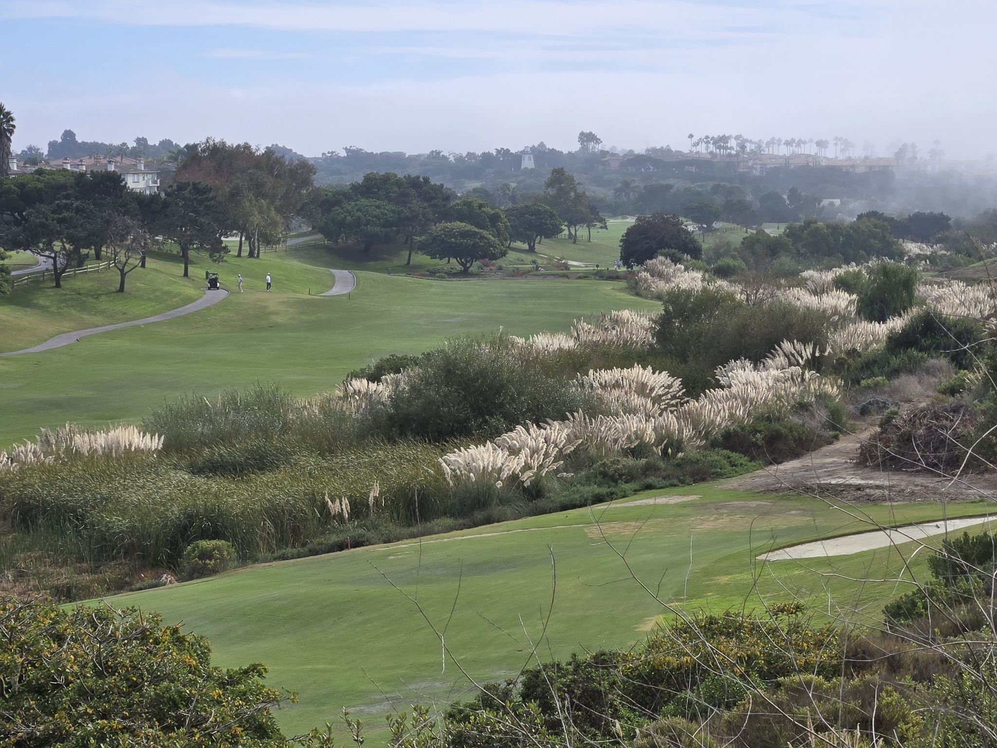 Expansive green golf course with feathery white plants and distant golfers under hazy sky. - Salt Creek Trail