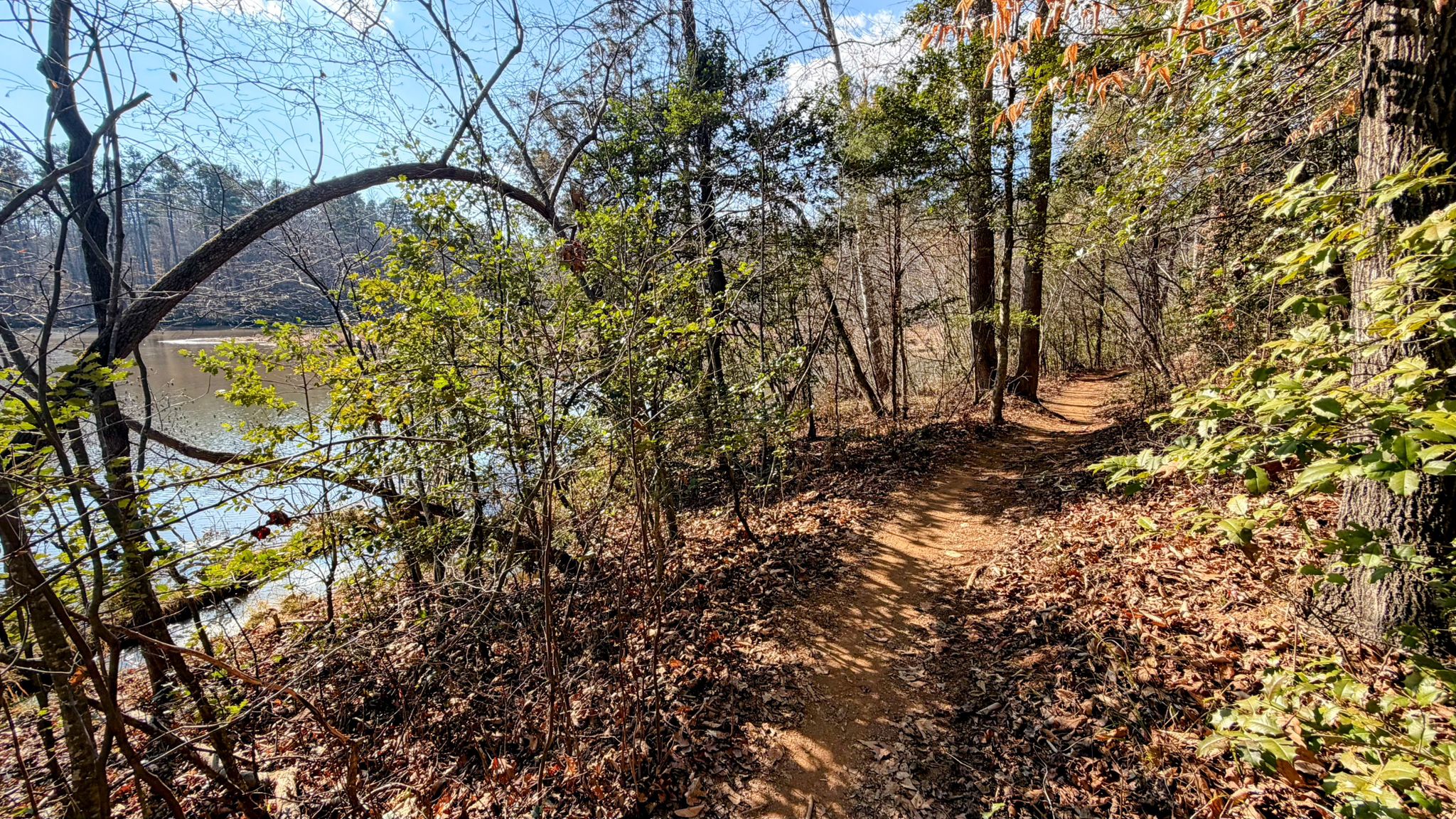 Sunny dirt path winding through a forest next to a calm lake. - Laurel, Wildlife and Fox Loops