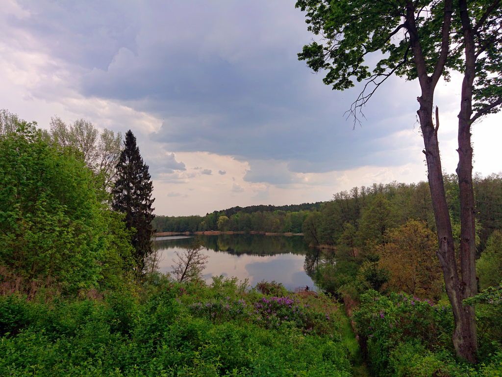 Buckowsee