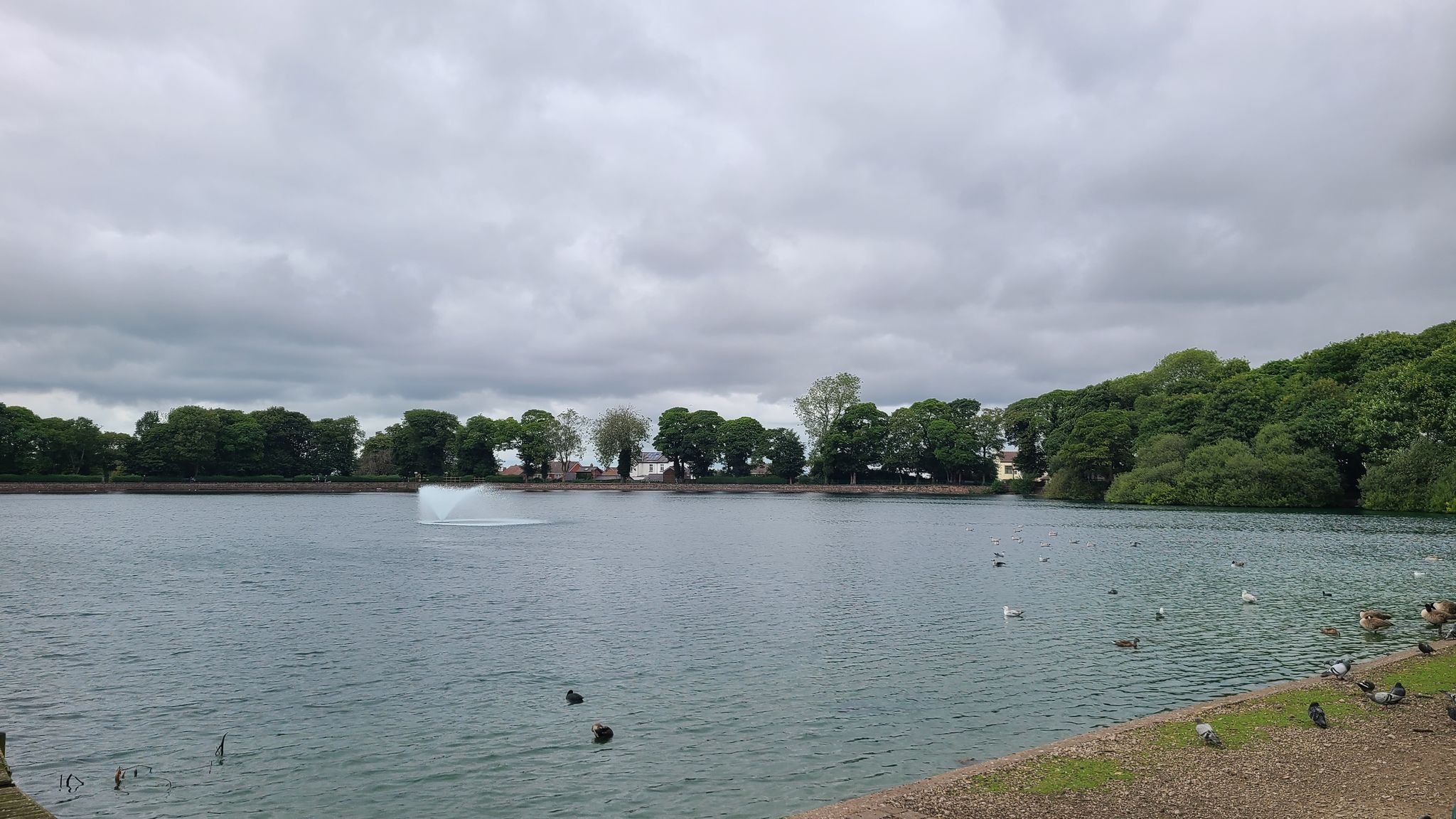 Taylor Park