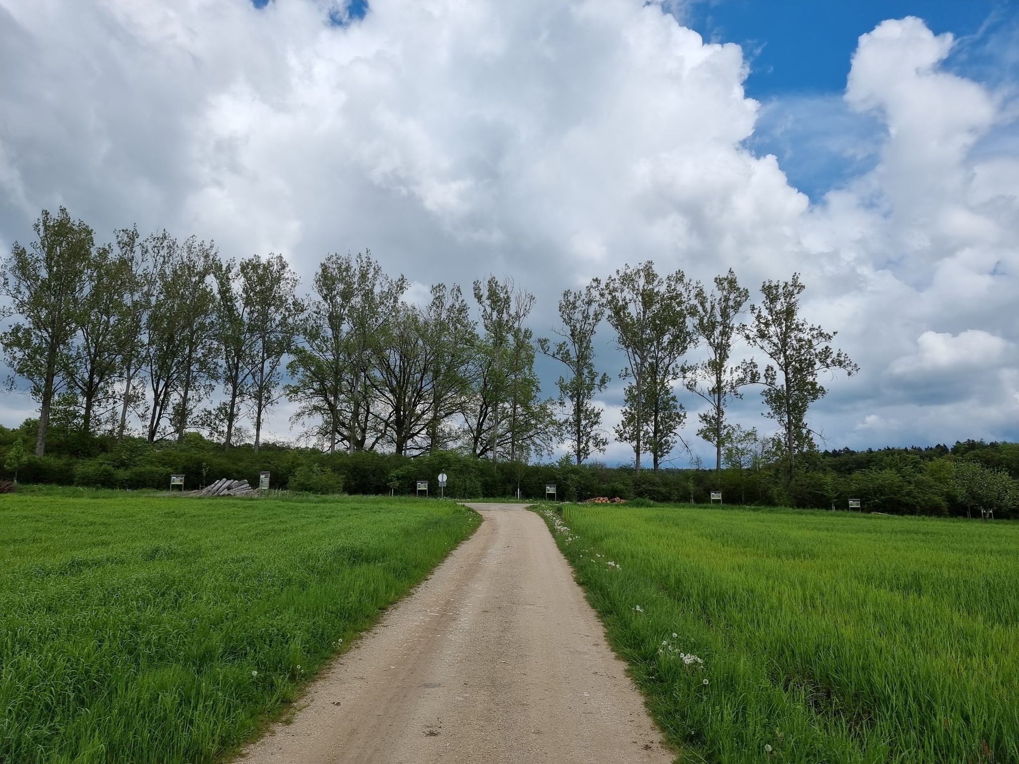 Baumlehrpfad
