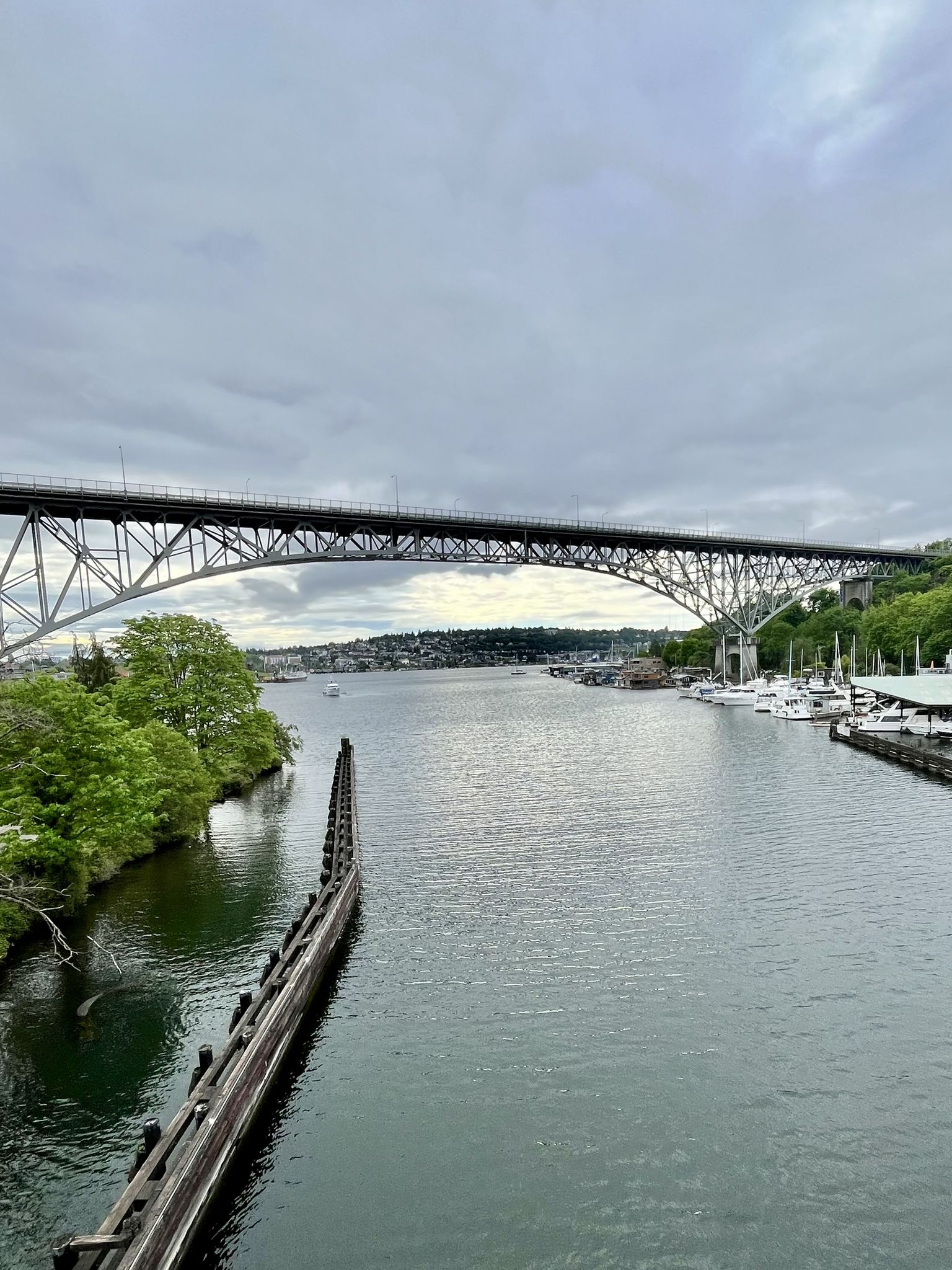 Large bridge spanning a wide river with boats and green banks under clouds. - Golden Garden – Fremont Bridge loop from Molly Moon's Homemade Ice Cream