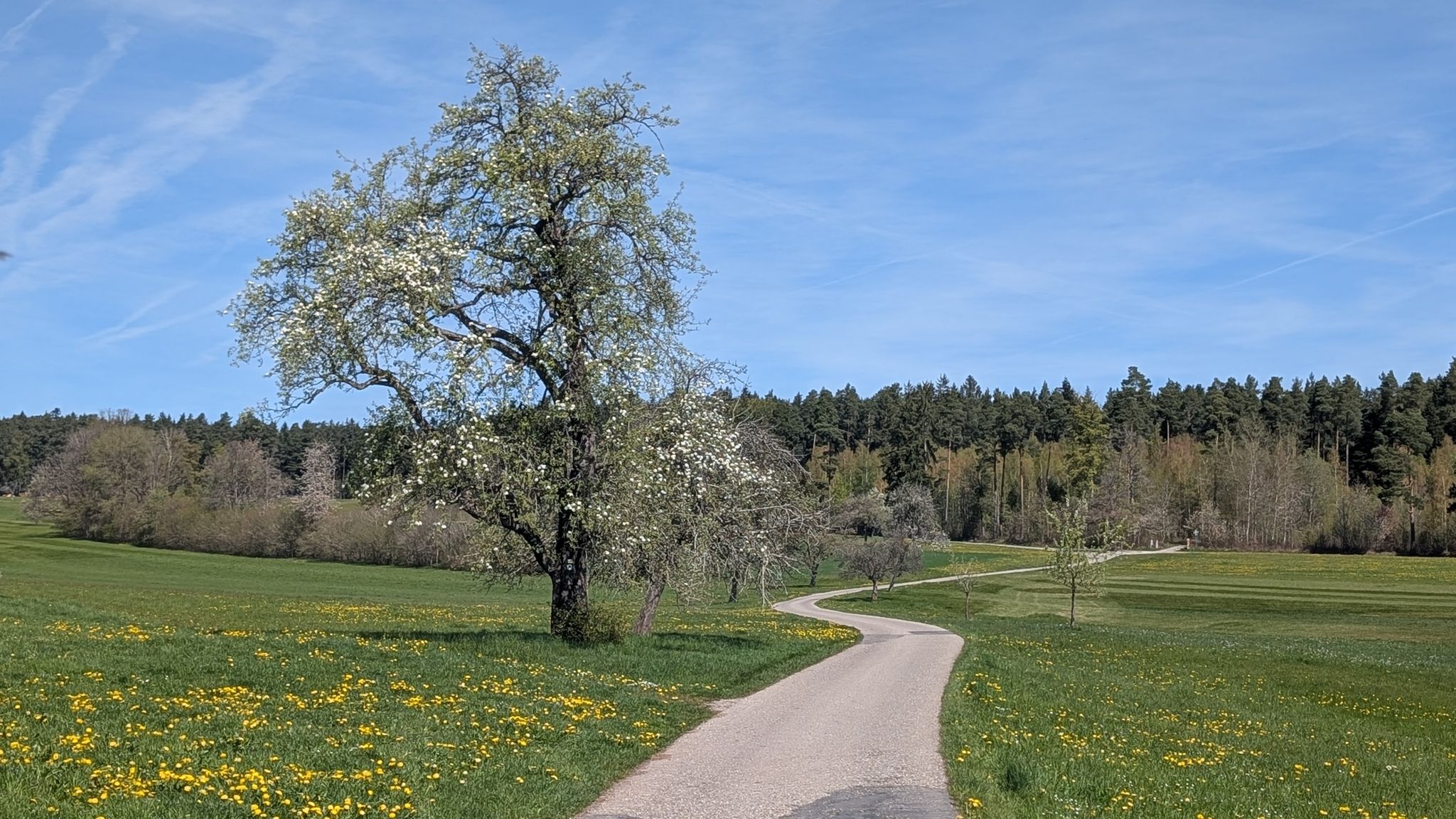 auf Asphalt aus Neuweiler hinaus