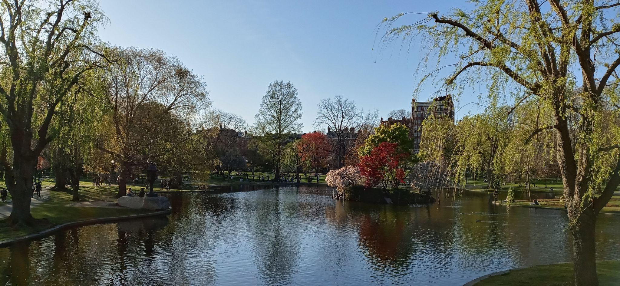 Panoramic view of a pond with colorful trees and reflections, bright day. - Beacon Hill and Boston Common Loop