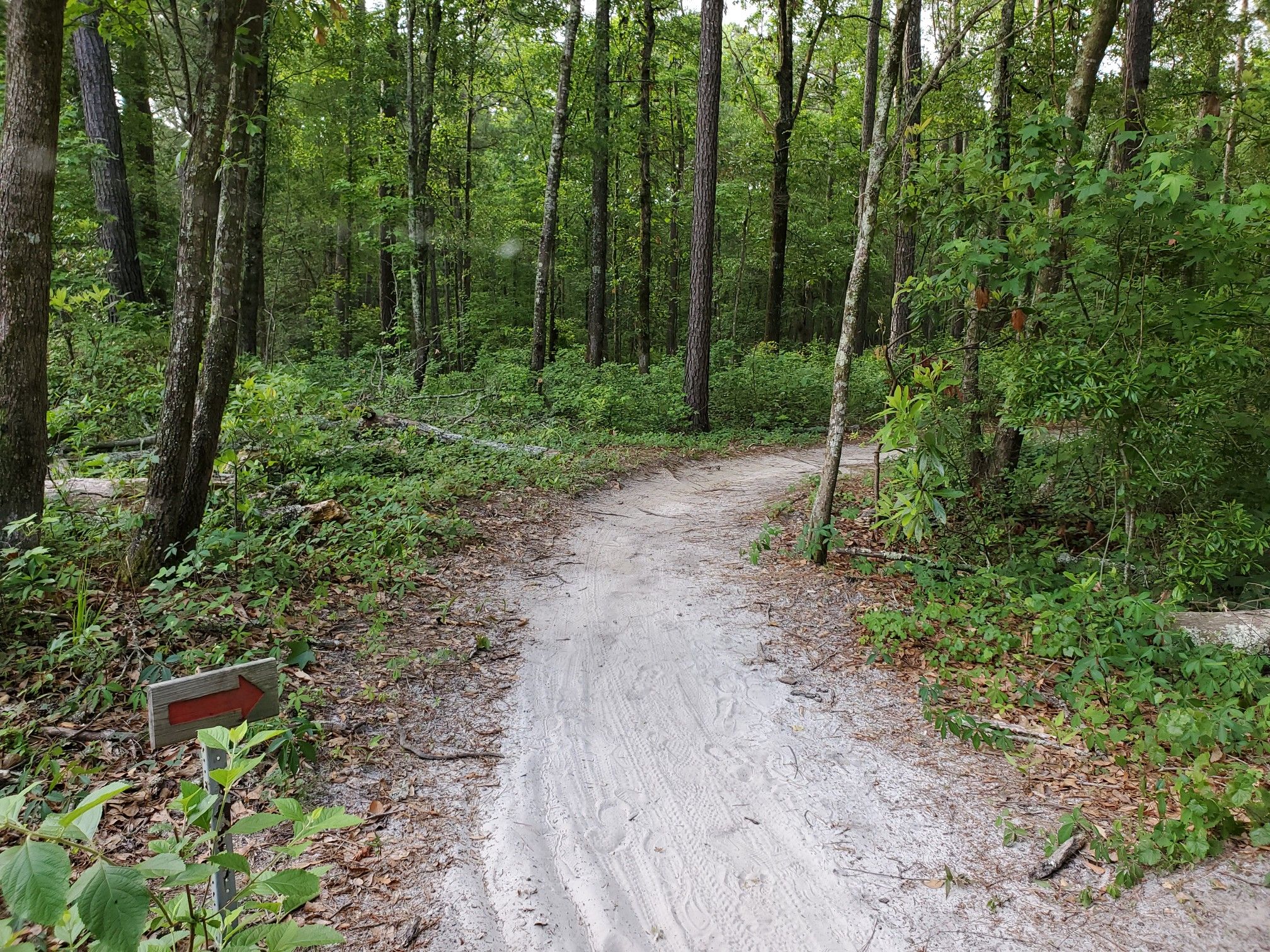 downhill