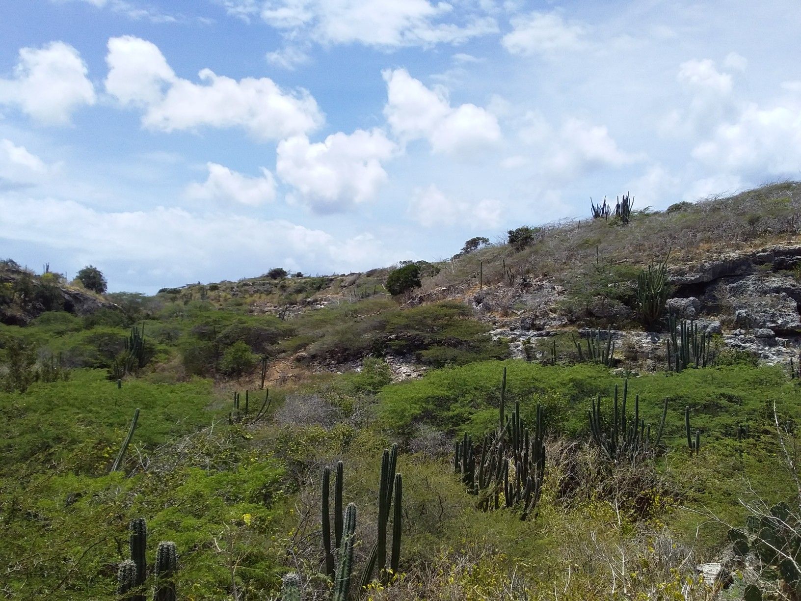 view from top into rooi lamoenchi