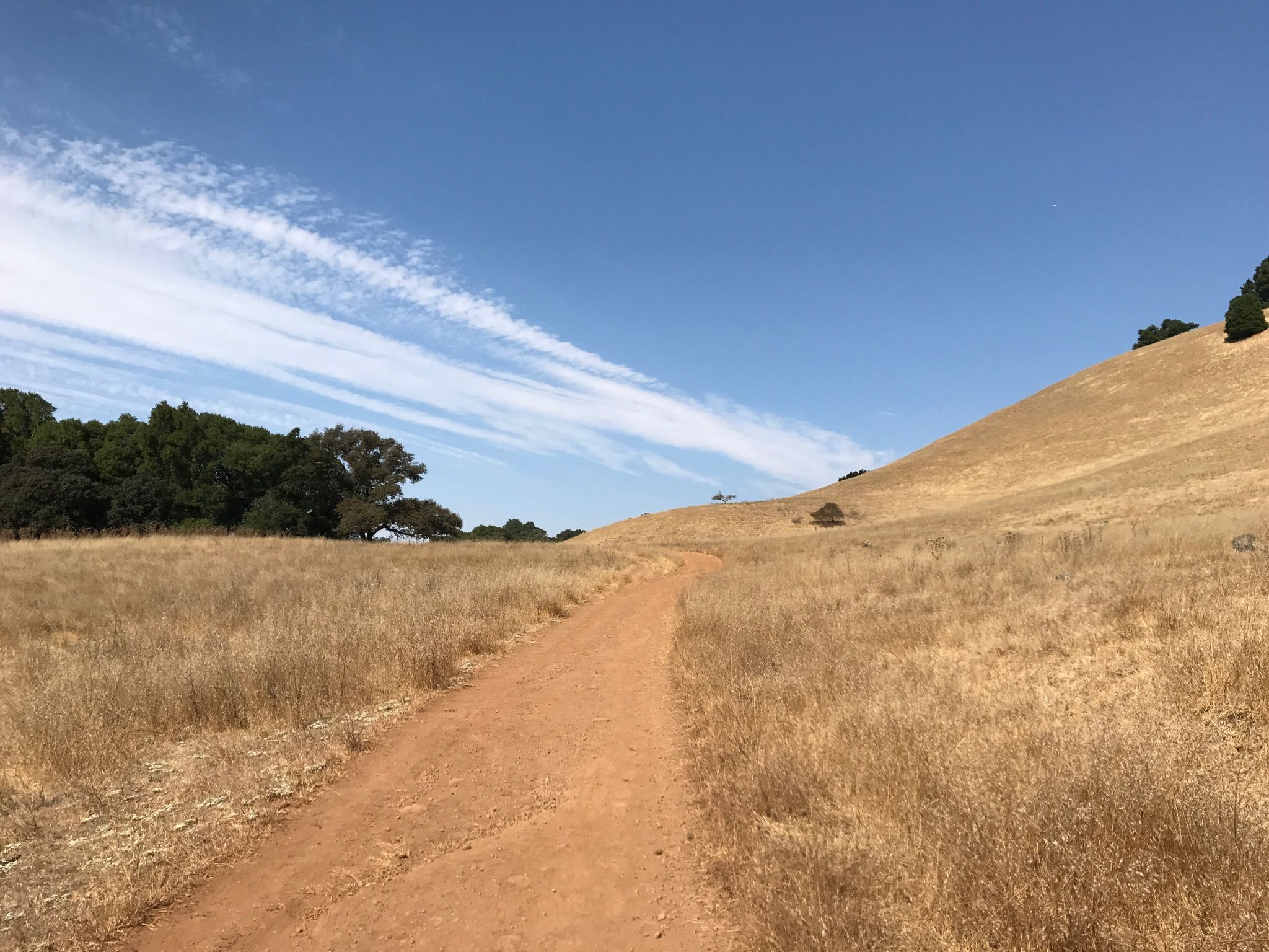 A dirt path winds through golden hills under a bright blue sky. - Burdell Mountain Loop
