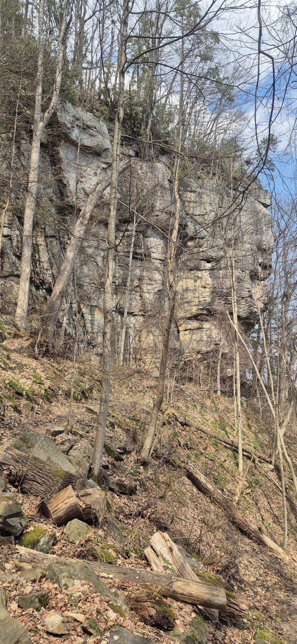 Steep rocky cliff face on a wooded hillside with bare trees. - Kaymoor Miners Trail