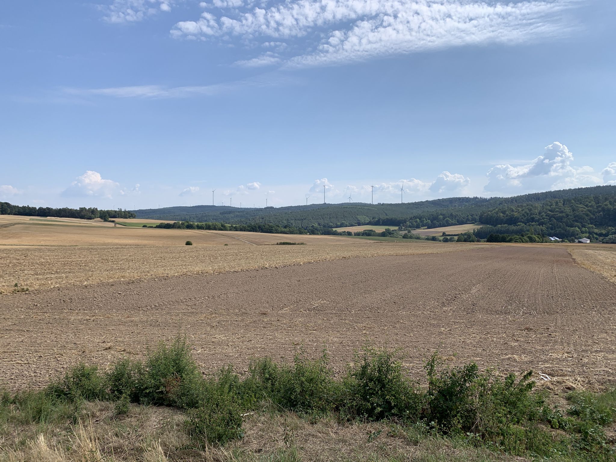 Windkraftanlagen im Schlitzer Wald