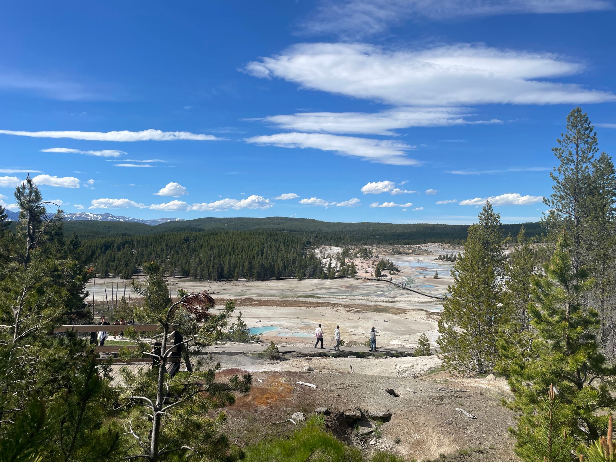 Panoramic view of a geothermal basin with distant people and a bright blue sky. - Steamboat Geyser and Norris Basin Loop Trail