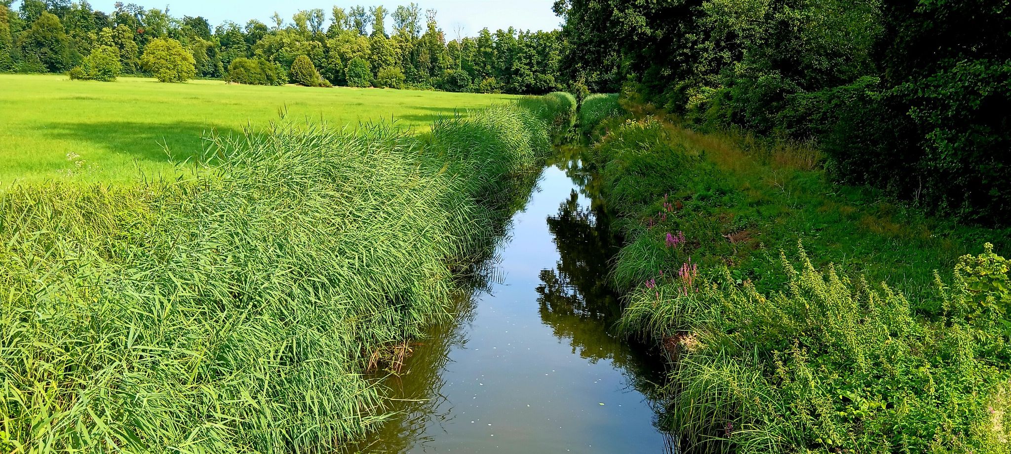 Walzbach (Kanal) kurz vor der "Mündung" in die Pfinz (Korrektion)