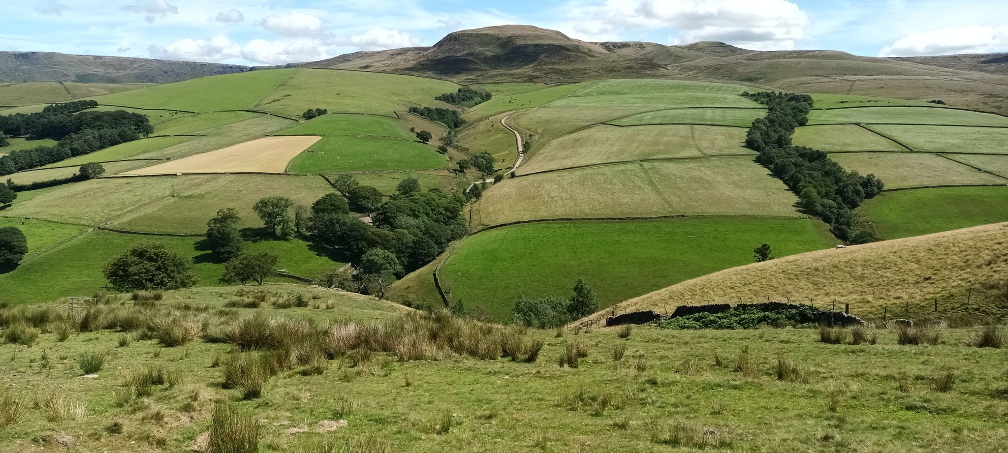 Hayfield Ascent
