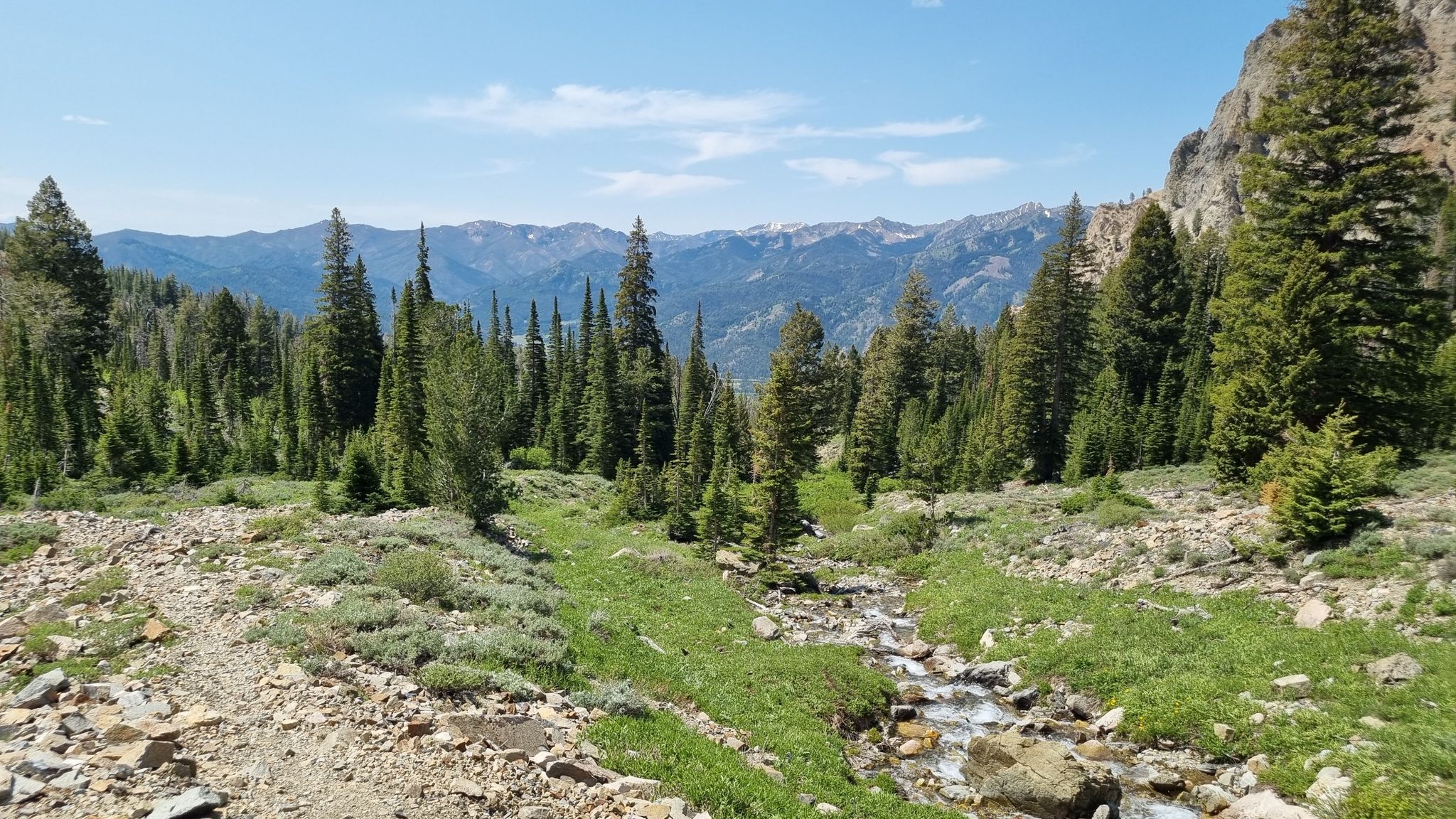 Sunny mountain landscape with pine trees, green meadow, and a rocky stream. - Silver Lake