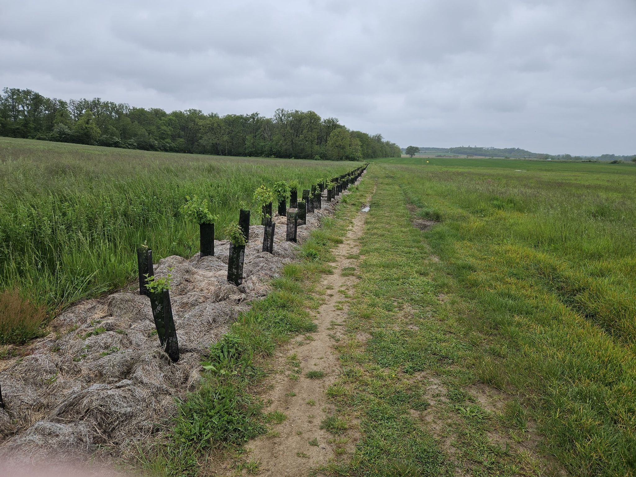 les agri rehond des haies